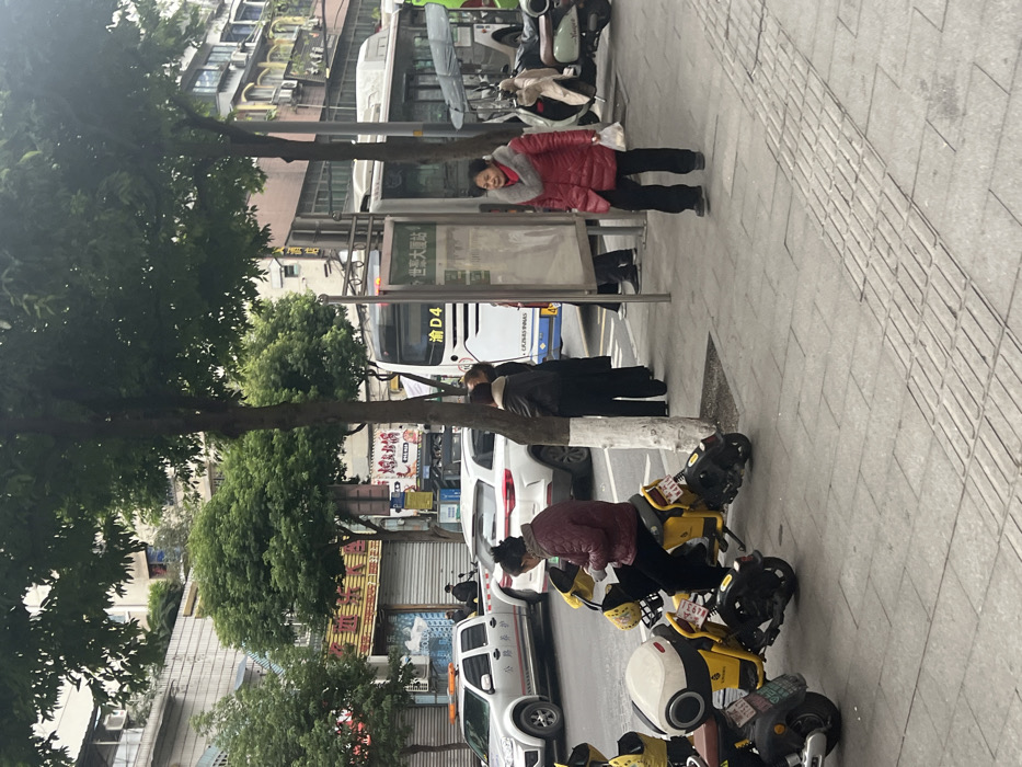 The image depicts a street scene in Jiangjin, China, on what appears to be an overcast day. The foreground shows a grey paved sidewalk with tactile paving, where two yellow electric scooters are parked. A woman in a maroon jacket and dark pants is seated on one of these scooters, looking down at an object in her hands. To her right, a woman in a red puffer jacket with a grey fur collar and black pants walks rightward on the sidewalk, holding a white plastic bag in her left hand.
Two slender trees with light green foliage and white-painted lower trunks punctuate the sidewalk. Between them and the walking woman stands a metal bus stop structure displaying Chinese characters, including "世家大厦站" (Shijia Dasha Station). Behind the bus stop, a large white city bus, marked "渝 D4," is stopped on the asphalt road. Several individuals are visible near the bus stop, one partially obscured behind the shelter and others near the bus. Further right, additional scooters or motorcycles are parked on the sidewalk.
On the street, to the left of the bus, a silver pickup truck with an open utility bed is parked, with a person in a dark jacket standing near its front. A white SUV is parked behind the yellow scooters. The background features multi-story urban buildings, some with visible storefronts and Chinese signage, indicating a commercial and residential area. The overall impression is a typical bustling city street environment.