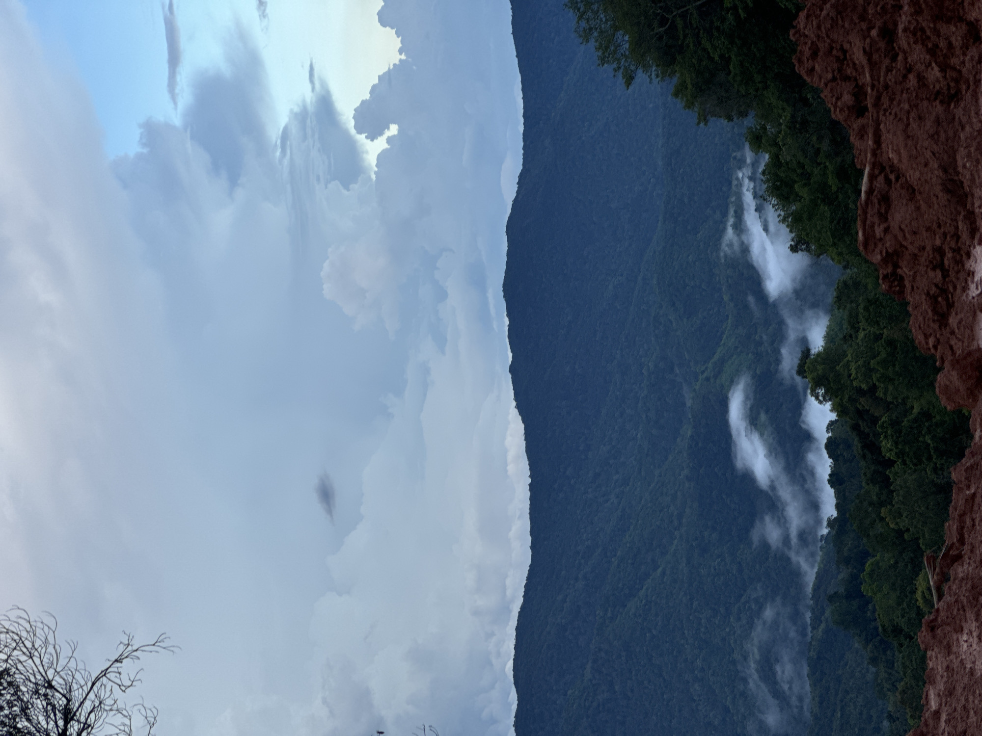 The image depicts a mountainous landscape under a cloudy sky. In the foreground, there is a patch of reddish-brown soil with some rough textures. Beyond this, a dense forest covers the slopes of rolling mountains, with layers of darker green receding into the distance. Wisps of white mist are visible in the valleys between the mountains, suggesting a humid or post-rain environment. The sky is filled with dramatic, layered clouds, ranging from light grey to white, with patches of pale blue visible in the upper right corner. A bare, silhouetted tree branch extends from the top left corner of the frame, partially obscuring the sky. There are no people or animals visible in the image. The overall scene conveys a sense of natural beauty and perhaps a remote, undeveloped location.