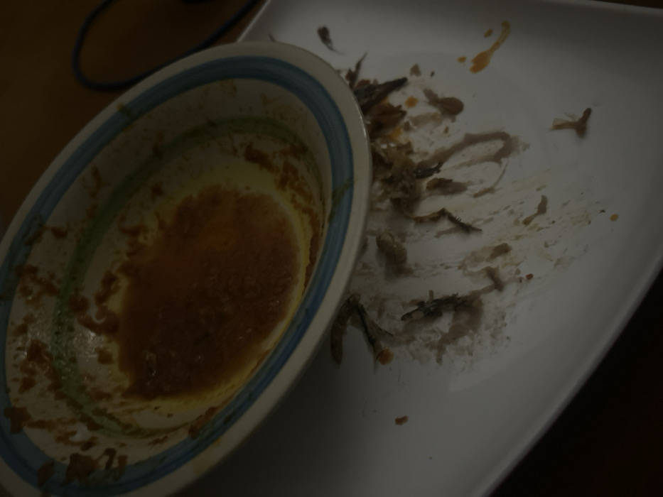 A bowl with blue rim contains remnants of orange sauce. Beside it, a white plate displays scattered debris; small dark specks, likely bones, and food scraps are smeared across the surface. The scene suggests a finished meal, leaving behind a messy and unappetizing view.