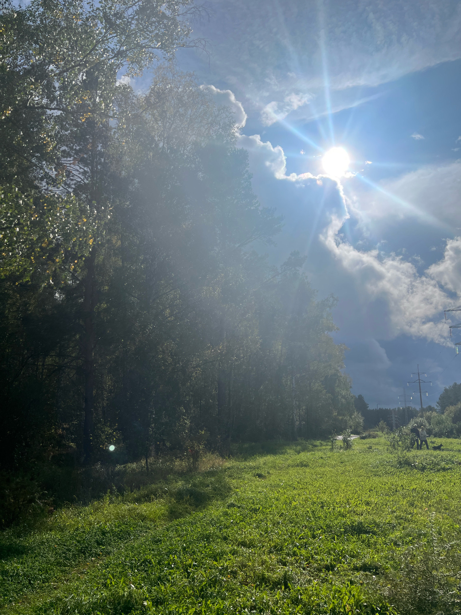 The image captures a sunlit meadow bordering a dense forest, with a bright sun and scattered clouds in the sky. A power line pylon is visible in the distance on the right side of the frame. Two individuals, appearing to be adults, are standing in the meadow, possibly engaged in an activity. The scene is set in a natural, outdoor environment, likely on the outskirts of Krasnoyarsk, Russia, given the typical landscape features and the presence of infrastructure like power lines, which are common in suburban or rural areas surrounding large Russian cities. The time of day appears to be daytime, with the sun high in the sky, casting distinct shadows.