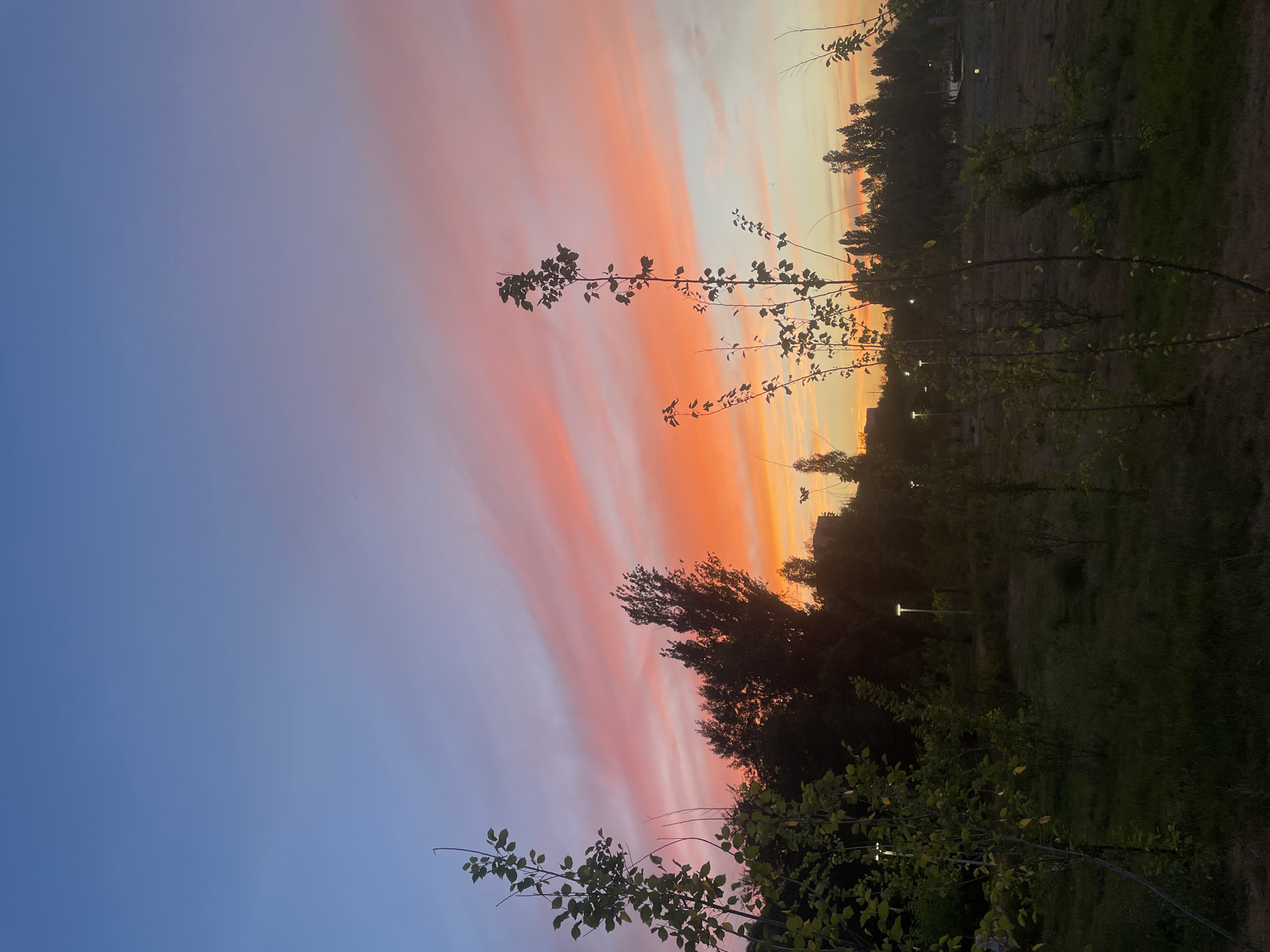 The image depicts a landscape scene at dusk, with a dramatic sunset painting the sky. The sky transitions from a soft blue on the left to vibrant hues of orange and pink, with streaks of clouds running horizontally. Silhouetted against the colorful sky is a line of trees and foliage. In the foreground, several small trees with sparse leaves are visible, their branches reaching upwards. The ground appears to be covered in grass and some bare patches of earth. In the middle ground, there are more trees and some artificial lights, possibly lampposts, suggesting a park or outdoor area. The overall mood is tranquil and serene, with the natural beauty of the sunset dominating the scene. The location is identified as Almaty, Kazakhstan.