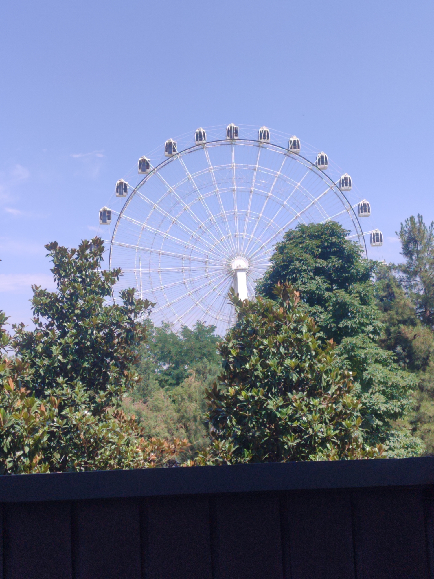The image shows a large Ferris wheel against a clear blue sky. The Ferris wheel is white with numerous spokes and a central hub. Several gondolas, which appear to be enclosed and rectangular with windows, are attached to the outer rim of the wheel. In the foreground and mid-ground, lush green trees with broad leaves are visible, partially obscuring the lower portion of the Ferris wheel. Some of the trees are closer to the camera and appear to be in a park or garden setting. The overall scene suggests a sunny day, likely in the late morning or early afternoon given the bright sky and clear visibility. The Ferris wheel, a common amusement park attraction, indicates the location is likely an entertainment venue or a public space designed for recreation. The presence of mature trees suggests a well-established area. No people are explicitly visible in the image, and there is no visible text. The context provided places this scene in Dushanbe, Tajikistan.