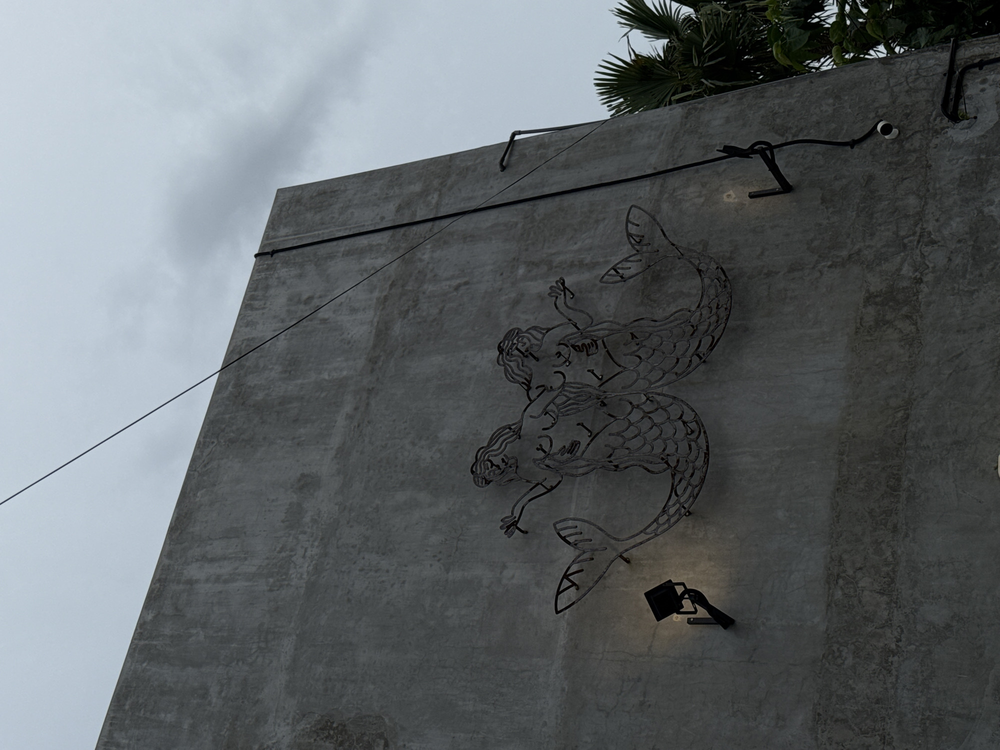 The image captures a concrete building wall featuring a prominent metal art installation of two mermaids, set against an overcast sky. The wall occupies the right side of the frame, presenting a rough, textured surface with varying shades of grey.
The main subjects are the two mermaids, crafted from dark metal, positioned vertically on the wall. They are depicted in a flowing, stylized manner, with distinct facial features, hair, and detailed scales on their tails. One mermaid is positioned above the other, appearing to be intertwined or ascending. The artwork is illuminated by two wall-mounted lights; one shines on the lower mermaid, and another is visible higher up, near the upper mermaid.
Electrical wires and conduits are visible, running across the concrete surface and connecting to the lights. At the top of the wall, lush tropical foliage, including palm fronds and other green leaves, is visible, suggesting a warm climate. The sky on the left side of the frame is uniformly grey and cloudy, indicating an overcast day. The lighting is soft and diffused, contributing to a muted color palette. There is no discernible activity taking place, and no text is visible in the image. The tropical elements align with the provided location context of North Kuta, Indonesia.