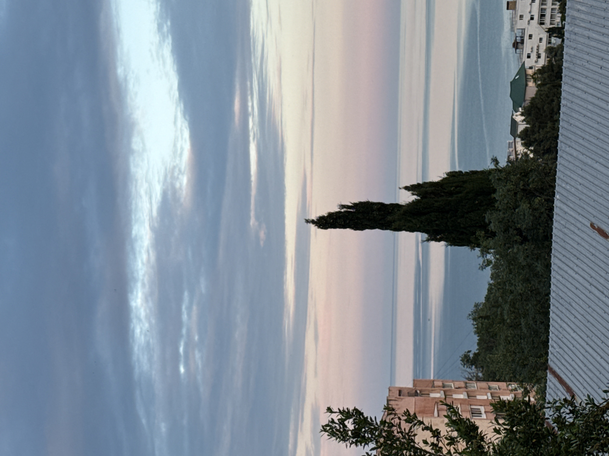 The image shows a view of the sea from a city. The sky is cloudy and has pink and blue hues, suggesting it is either sunrise or sunset. In the foreground, there is a metal roof. Behind the roof, there is a tall, slender evergreen tree. To the left of the tree, there is a multi-story building with a light pink facade. Further in the background, more buildings and trees are visible, leading to the sea. The sea appears calm with light reflecting on its surface.