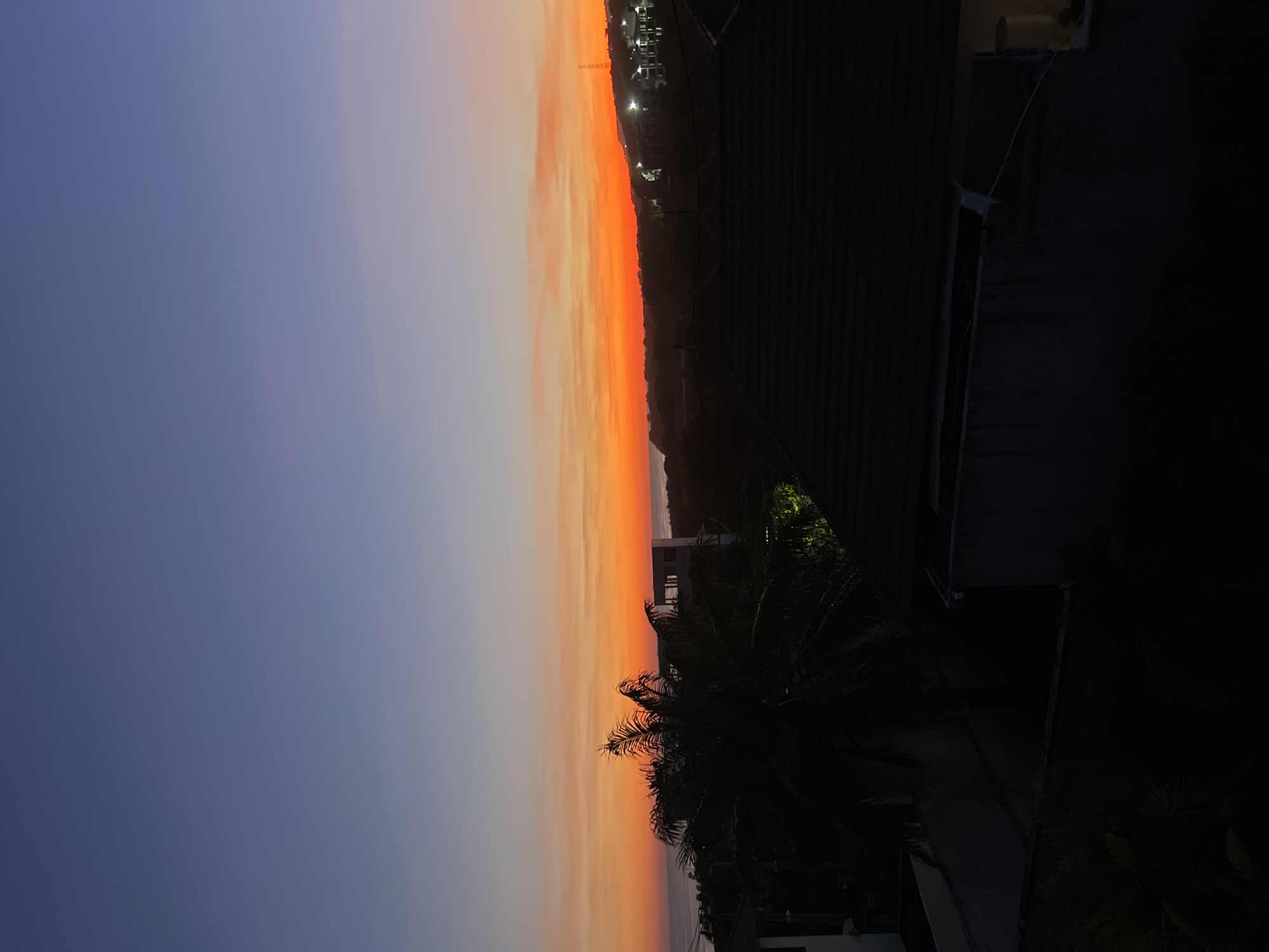 The image depicts a vibrant sunset over an urban area in Unknown, Unknown. The sky transitions from a deep blue to a fiery orange, with the sunset illuminating the horizon. Silhouetted against the bright sky are buildings and palm trees. The foreground is dark, with a building and foliage partially visible.