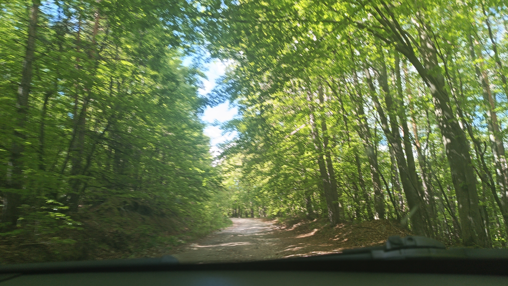 The image depicts a view from inside a vehicle driving on a dirt road through a forest in the city of Vrata, Bulgaria. The road is flanked by dense trees with green leaves, creating a tunnel-like effect overhead with patches of blue sky visible through the canopy. The vehicle's windshield and a portion of the dashboard are visible at the bottom of the frame. The focus is on the road ahead and the surrounding forest environment. There are no people visible in the scene. The predominant colors are green, brown, and gray.