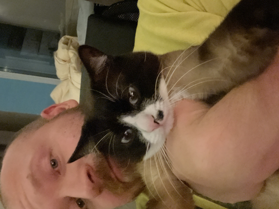A light-skinned person holds a cat close to their face. The cat has a black and white face with long white whiskers and is looking directly at the camera. The person's face is visible on the left side of the image, with their eyes partially open and a slight smile. The person is wearing a yellow shirt and there is a soft beige object in the background. A black mesh bag and a window with a blue-ish tint are visible in the top left corner of the image.