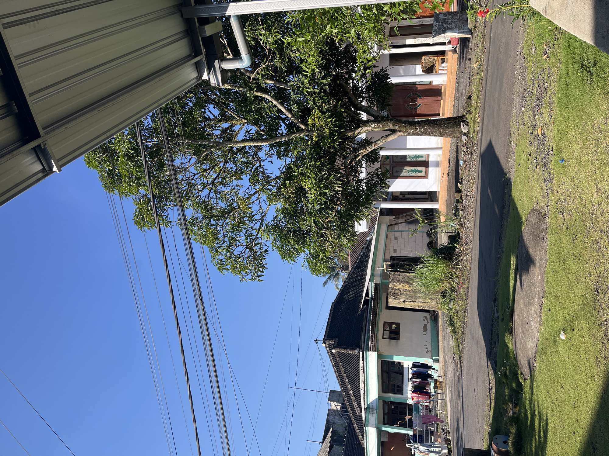 This image captures a bright, sunlit outdoor scene in a residential area of the city of Unknown, Unknown. The sky is a clear, cloudless blue, dominating the upper portion of the frame. Multiple black and lighter-colored electrical or communication wires crisscross horizontally across the sky.
In the upper right, a metallic, corrugated roof structure, possibly an awning or carport, extends downwards, revealing its ribbed underside and supporting elements. A grey PVC downspout is attached to this structure.
A large, mature tree with a thick trunk and abundant green foliage stands prominently in the midground, slightly right of center, partially obscuring a house behind it. To its left, a single-story house features a dark, multi-faceted hip roof and white walls with a light blue-green trim. Clothes are hanging on a metal drying rack in front of this house, indicating domestic activity. In the background behind this house, a palm tree and other structures are visible.
A narrow, dark asphalt road or pathway curves through the midground, separating a grassy foreground from the houses. The road surface has scattered small debris. In the lower foreground, green grass is visible, containing a concrete slab and a small white plastic object. A cylindrical metal object lies in the grass in the lower-left corner. Tall green weeds or grass grow near a concrete pillar to the left of the main tree.
The house to the right of the large tree is predominantly white, featuring dark wooden double doors and multiple white support pillars for a porch. A small plant with red flowers is partially visible in the lower-right corner. Shadows are cast across the ground and road, consistent with direct sunlight. No individuals are present in the scene.