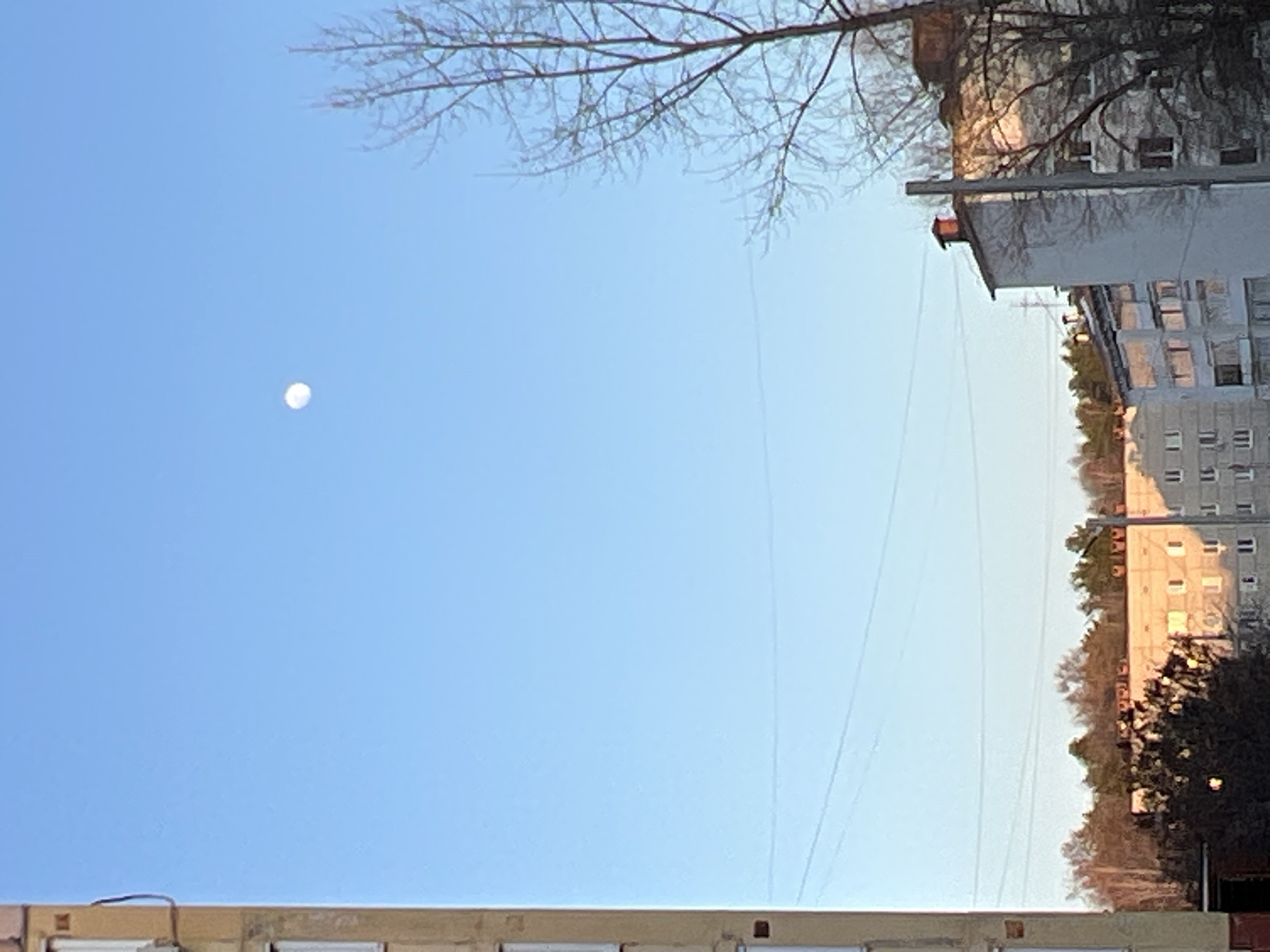 The image depicts an urban scene in Noviy, Russia, under a clear blue sky. A partial moon is visible in the upper left quadrant of the sky. Bare tree branches extend from the upper edge of the frame. In the right side of the image, a multi-story residential building stands, adjacent to a line of trees, with sunlight reflected on its facade. Power lines run across the sky. The lower edge of the frame shows a partial view of a shorter structure with multiple windows. The overall impression is of a late afternoon or early morning scene with a mix of urban and natural elements.