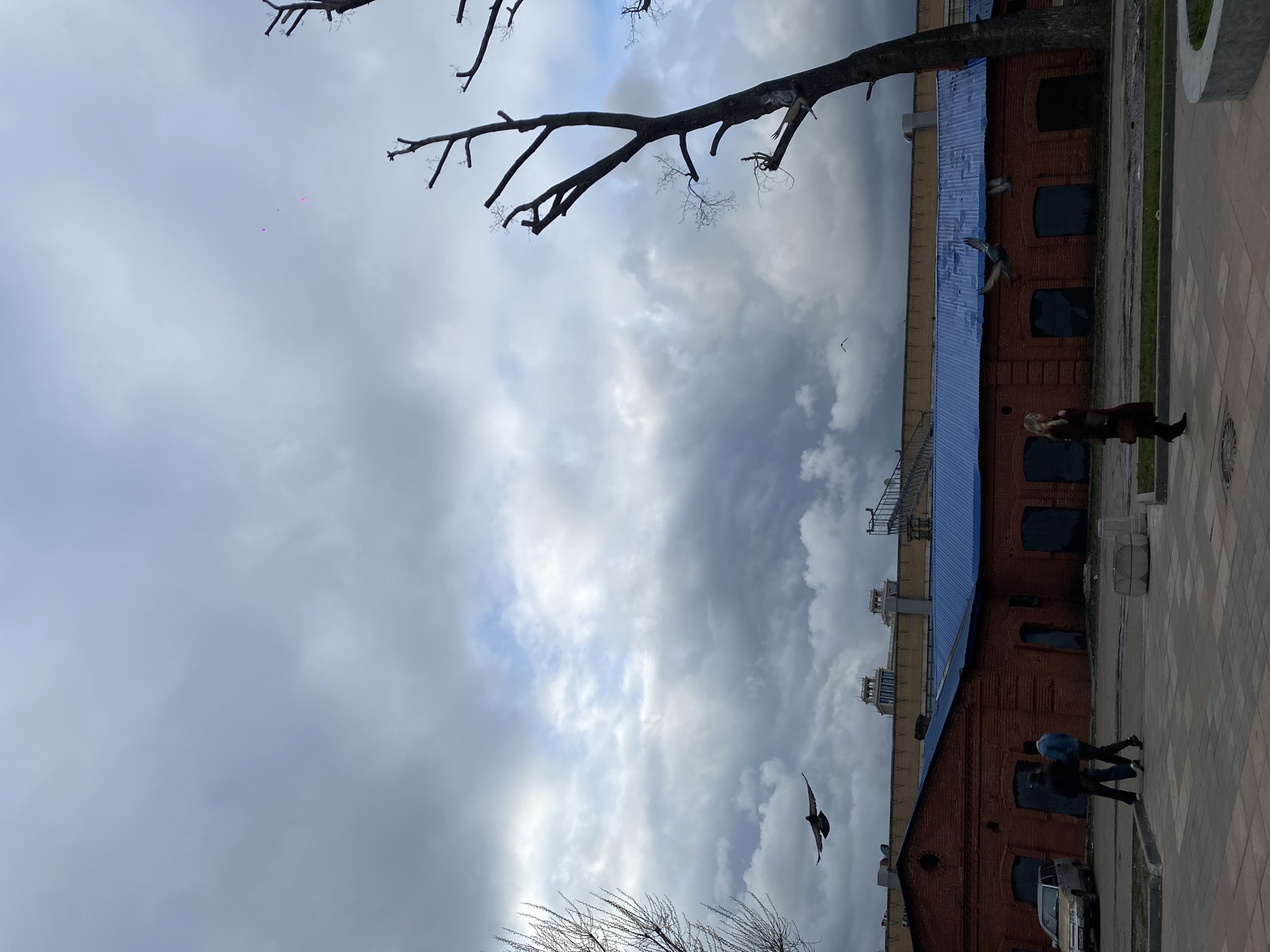 The image depicts an urban scene in Moscow, Russia, with a brick building featuring arched windows and a blue roof as a prominent feature. A bare tree branch extends across the upper portion of the frame, contrasting with the cloudy sky overhead. A bird is captured in flight against the backdrop of the clouds. Several people are visible on the sidewalk adjacent to the building, including a woman in a brown coat and two individuals walking together. A parked car is present near the building. The overall environment appears to be a paved public area with a mix of architectural and natural elements.