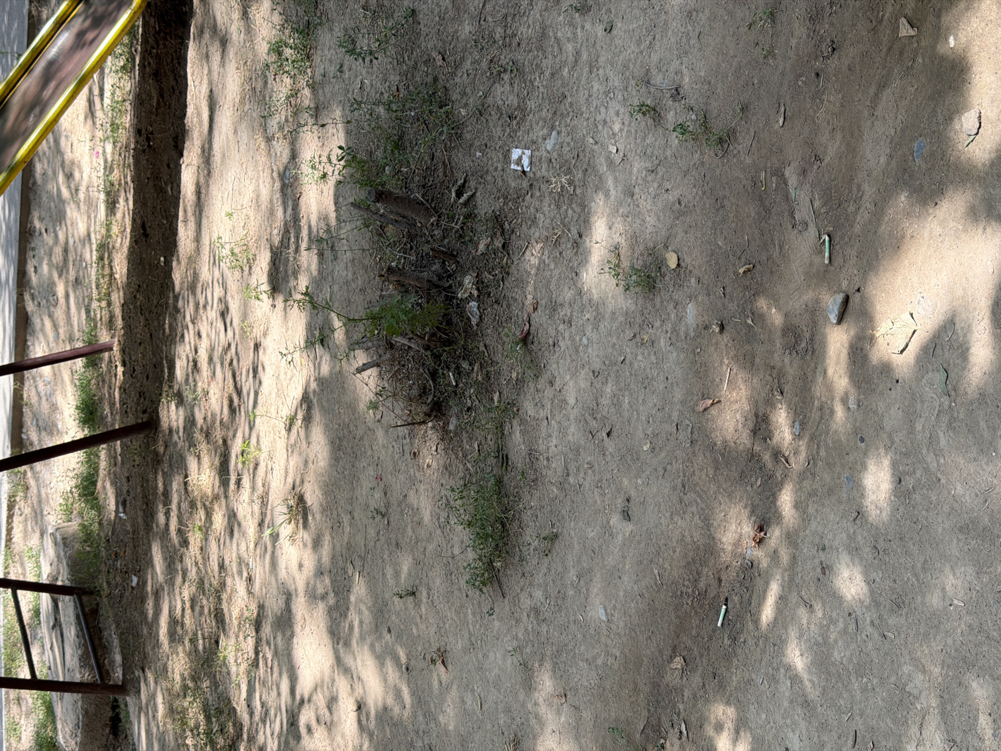 The image shows a close-up view of a dirt ground surface, likely in an outdoor setting such as a park or playground, with scattered debris and sparse vegetation. The ground is a light brown, dry earth with visible shadows cast by an unseen object, possibly trees or a structure, creating dappled patterns across the surface.
In the foreground, several objects are visible: a discarded cigarette butt lies on the ground to the left. Further to the right and slightly higher, another cigarette butt is present, next to a small, light-colored stone. There are also a few dry leaves and small green sprigs of weeds growing out of the dirt.
Towards the middle of the image, a cluster of dead tree stumps and branches is visible, surrounded by dry grass and more green weeds. Among the debris near the stumps, a small, white, square-shaped object, possibly a piece of trash or packaging, is present.
In the background, parts of a playground structure are visible. On the left, two reddish-brown metal poles support a ladder-like structure. On the right, a yellow and brown slide is partially visible. The ground beneath the playground equipment appears to be a mix of dirt and some patches of dry grass.
The overall scene suggests a neglected or infrequently maintained outdoor area. The presence of cigarette butts and scattered trash indicates human activity, while the dry earth and sparse vegetation point to a warm or dry climate. The lighting suggests it is daytime, with sunlight filtering through the foliage or structure above.
The location is specified as the city of Shymkent, Kazakhstan.