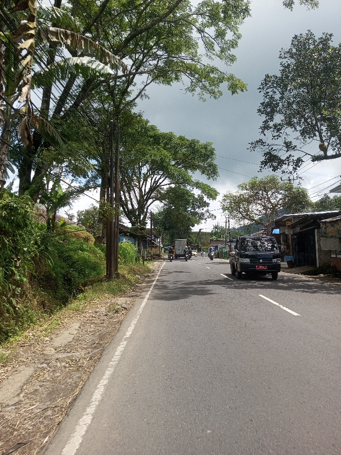 The image depicts a daytime scene on a paved road within the city of Ura-Dozhi, Bhutan, under an overcast sky. The asphalt road extends into the distance, featuring a solid white line delineating the left edge and a dashed white line indicating the center.
On the left side of the road, a rough, unpaved shoulder with sparse vegetation, including dry leaves and exposed earth, transitions into a dense natural border of lush green foliage. This vegetation comprises tall grasses, shrubs, and large mature trees with extensive canopies, some displaying broad, banana-like leaves. Numerous wooden utility poles bearing a complex network of black electrical or communication wires run along this side, partially obscured by the greenery. Beyond the vegetation and poles, glimpses of light-colored, single-story structures with corrugated metal roofs are visible.
On the right side of the road, a continuous frontage of single-story buildings directly abuts the asphalt. These structures, varying in appearance with some showing signs of wear, suggest commercial or residential use, with one featuring a dark blue facade and others having corrugated roofs. Overhead utility wires are also visible along this side.
Traffic is observed on the road. In the mid-ground, a black pickup truck with a visible front license plate is traveling towards the viewer on the right side of the road. Further in the distance, multiple motorcycles are proceeding away from the viewer, including what appears to be a three-wheeled utility motorcycle. One individual is discernible operating a distant motorcycle.
The sky is predominantly covered by dark grey clouds, with some lighter patches visible through gaps in the tree canopy, indicating an overcast or potentially pre-storm weather condition. The environment is characterized by significant tree cover and the presence of both natural elements and roadside development.