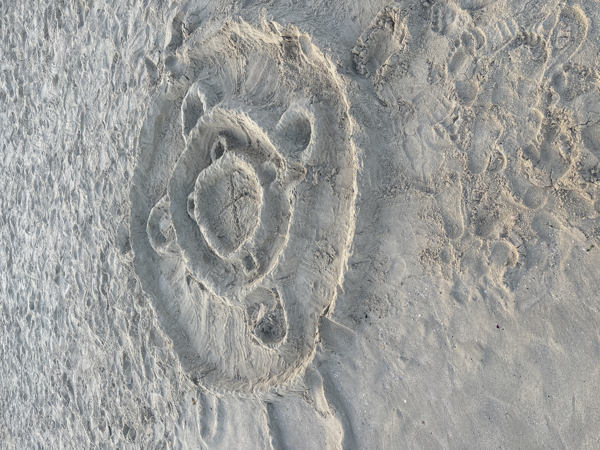 The image shows a sandcastle on a beach, likely in Jiyang District, China. The sandcastle is circular with concentric rings and carved indentations. The sand is wet and packed, indicating it is close to the water. There are footprints in the sand, suggesting that people have been walking on the beach. The lighting suggests it is daytime, possibly late afternoon or early morning due to the low angle of the sun casting shadows. There are no people visible in the image.