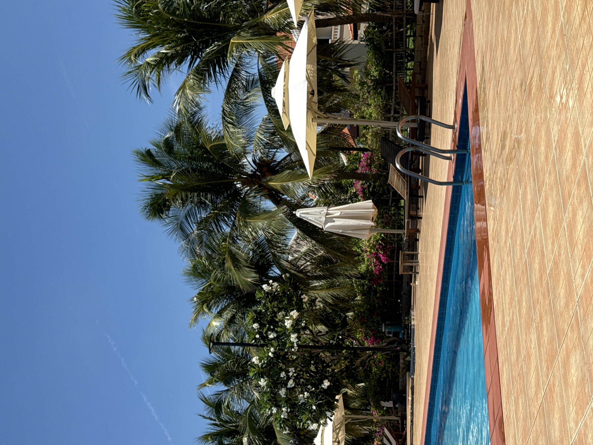 This image depicts a resort swimming pool area in Phu Thuy Ward, Vietnam, under a clear blue sky. The foreground is dominated by the tiled poolside and a portion of the turquoise swimming pool, with a red border along its edge. A stainless steel ladder with two curved handles provides access to the pool.
In the mid-ground, several elements suggest a tropical resort setting. Two lounge chairs are visible near the pool, one with a dark frame and the other with a lighter frame. A closed, off-white umbrella stands to the left, and a larger, open, off-white layered umbrella is situated to the right, casting a shadow. Behind these, a lush garden area features vibrant pink bougainvillea flowers and a tree with white blossoms, likely frangipani. Palm trees with dense fronds are abundant throughout the scene, forming a tropical canopy.
The background reveals glimpses of resort architecture, with red-tiled roofs and white building facades, characteristic of Vietnamese coastal resorts. The overall atmosphere is one of tranquility and vacation, amplified by the bright sunlight and the clear, cloudless sky, save for a faint contrail in the upper left quadrant. No people are present in the image.