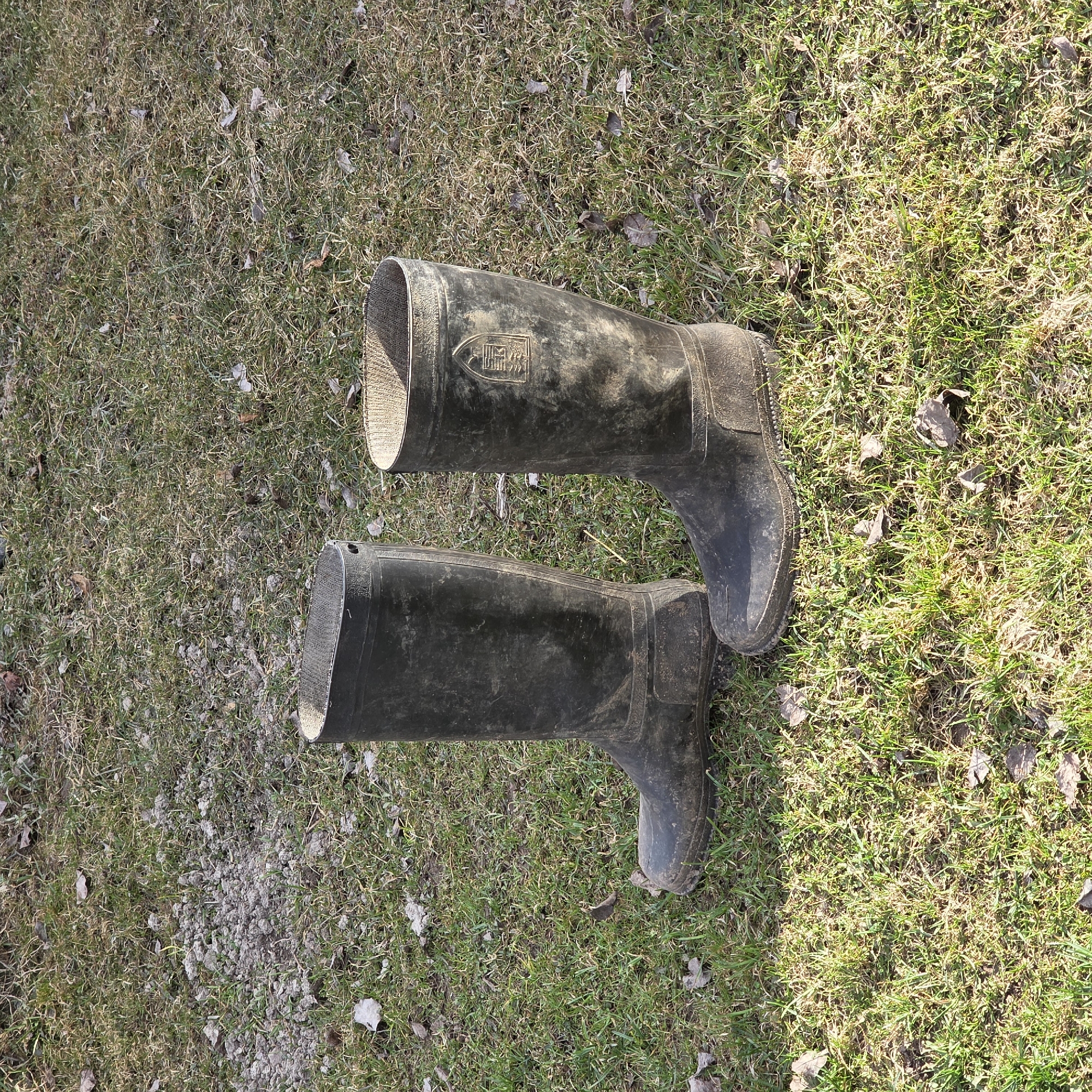 A pair of black rubber boots lay on a grassy surface. The boots are resting slightly askew to one another and appear to be used. The grass is dry in some areas, and patchy with dirt in others. There are several leaves scattered around the ground. The location is likely outdoors in Koshelevichi, Russia. There are no people visible.