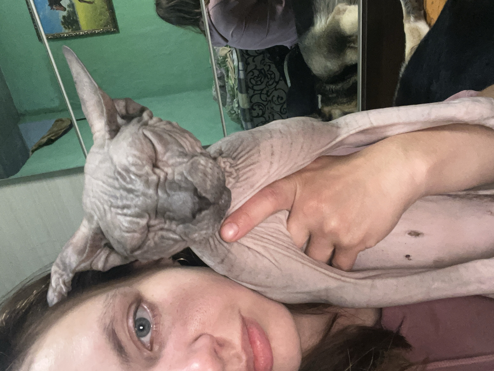The image depicts a close-up of a woman holding a Sphynx cat. The woman has light skin, blue eyes, and brown hair. She is wearing a pink hooded sweatshirt. The cat is light gray and appears to be bald. The background is a room with a green wall. A framed picture of a horse is visible on the wall. There are other animals, possibly dogs, visible in the background. The image is a selfie, with the woman holding the camera. The location is not specified in the image or context provided.