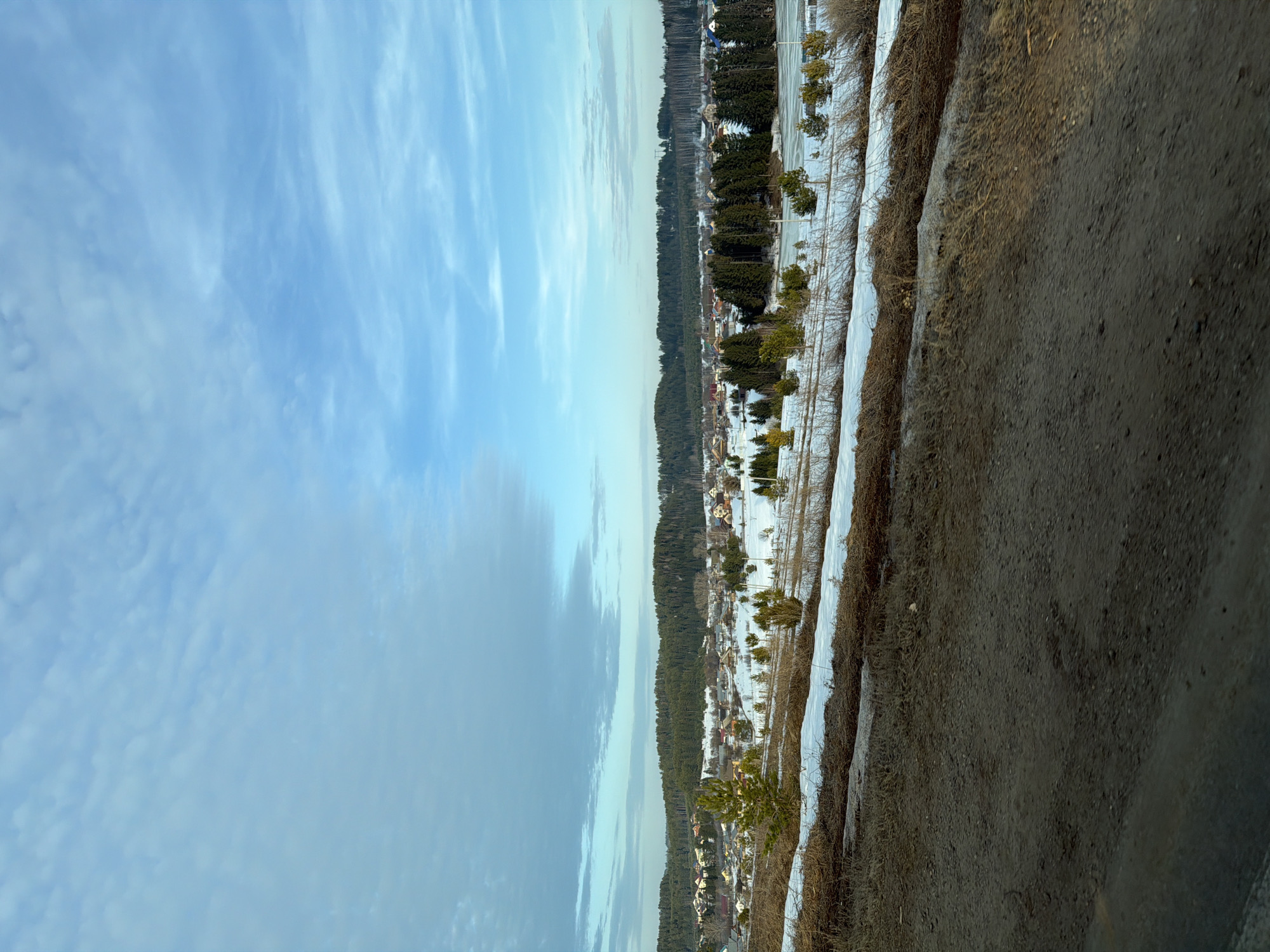 The image displays a rural landscape near the city of Фоки, Russia, during a transitional season, likely late winter or early spring. The foreground consists of a dark brown dirt and gravel road, partially illuminated, with a visible texture of small stones. Above the road, a strip of land features patches of melting snow interspersed with dry, matted brown vegetation, including grasses and small branches. The midground reveals a snow-covered valley containing a dispersed village or settlement. This area is characterized by numerous houses with varied roof colors (including red, blue, and brown) and scattered dark green coniferous trees, along with smaller, lighter green pine saplings. To the right midground, a partially visible frozen body of water, possibly a lake or pond, is present. The background is dominated by a dense, dark green coniferous forest, suggesting rolling hills or higher terrain beyond the village. The sky, occupying the upper third of the frame, is light blue with scattered clouds; the left side features more dense, undulating clouds, while the right side shows lighter, streaky cloud formations. No individuals, animals, or explicit actions are observed in the scene.