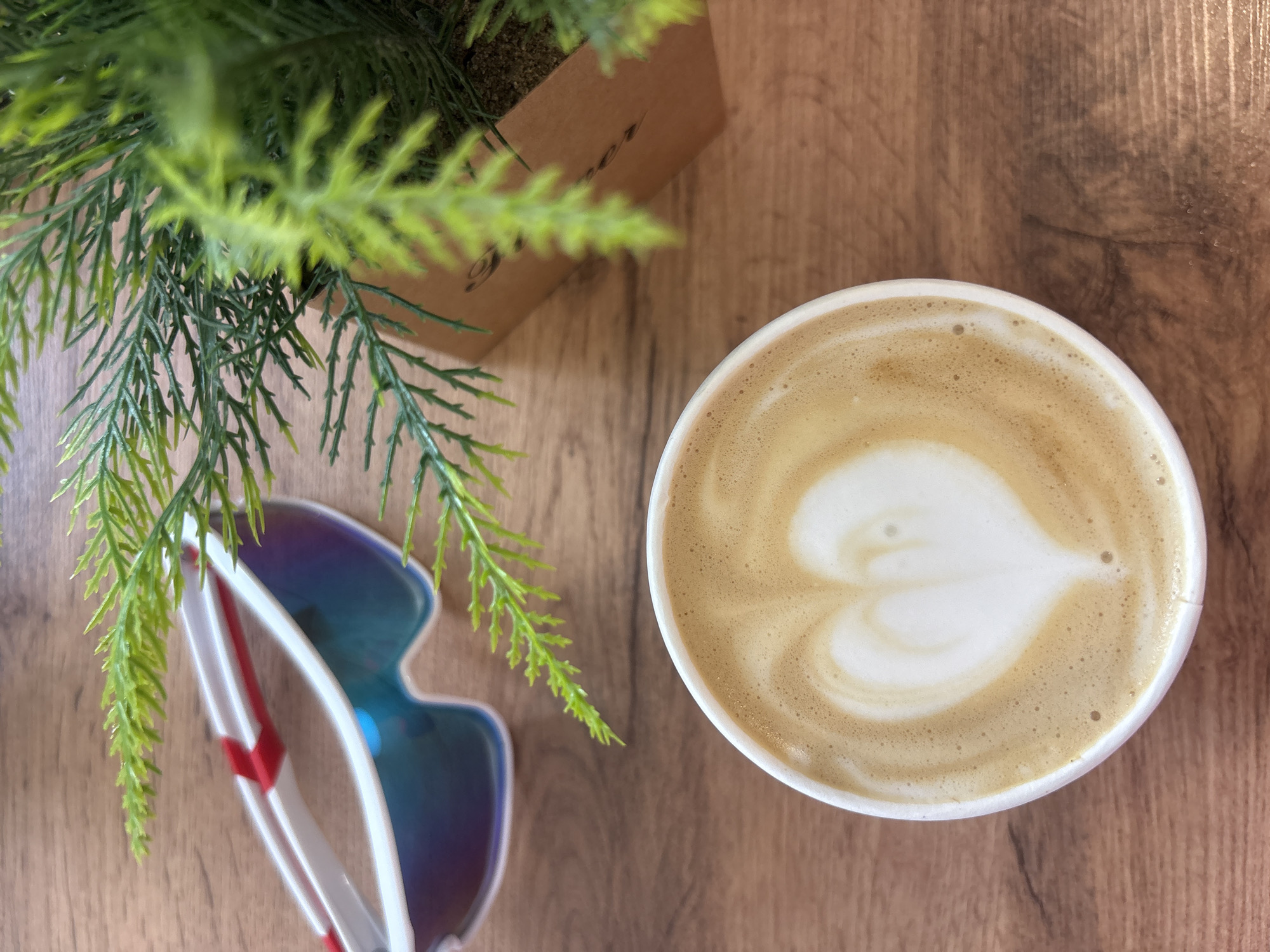 This image depicts a close-up overhead view of a coffee cup with latte art, a pair of sunglasses, and a small potted plant, all arranged on a wooden surface. The coffee cup, white with a cardboard sleeve, contains a latte with a heart-shaped design created by frothed milk. To the upper left of the coffee, a pair of white and red-accented sunglasses with blue and purple lenses are visible. To the right of the sunglasses and above the coffee cup, a small potted plant with green, feathery foliage is placed in a brown cardboard planter. The background consists of a wooden table with visible grain patterns. The lighting suggests an indoor setting, possibly a cafe. The scene is static and does not depict any people or actions. The location is not specified as being in Chaikovsky, Russia, or any other specific city.