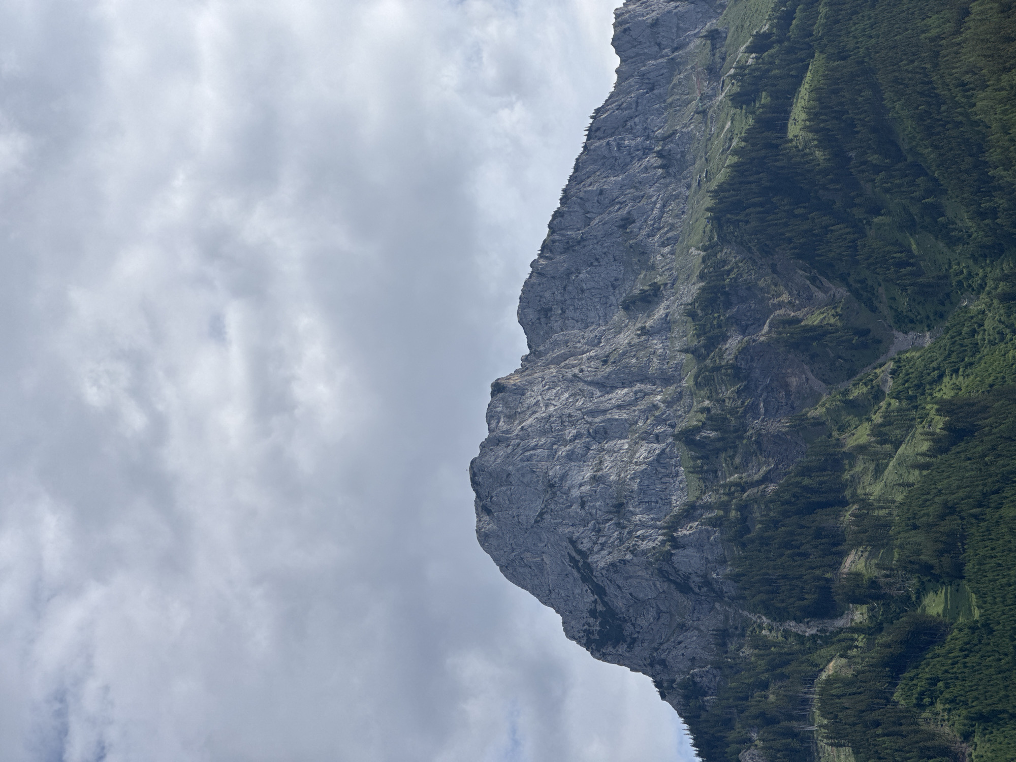 The image displays a rugged mountain landscape under an overcast sky, likely situated within the vicinity of Eisenerz, Austria, given the characteristic geology and vegetation of the Eisenerz Alps. The upper two-thirds of the frame are dominated by a formidable, grey rock mountain, characterized by extensive, irregular rock faces, deep crevices, and a visibly weathered surface. A small, indistinct cross or marker is discernible at the highest point of the prominent peak on the left side of the mountain range. The rocky ridge extends horizontally to the right, maintaining a similar rough texture with sporadic clusters of dark green evergreen trees clinging to ledges.
The lower third of the image transitions into a densely forested area, primarily composed of dark green coniferous trees, which extend from the base of the sheer rock faces down to the bottom of the frame. Within the forest, several lighter green patches and natural clearings are visible, suggesting varied terrain or past events like rockfalls or smaller landslides. A pronounced gully or erosion channel cuts through the forested slope in the mid-left section, showing lighter earth and sparse vegetation. The lighting is diffused, indicating an overcast day, which results in soft shadows and a muted color palette dominated by shades of grey from the clouds and rock, and deep greens from the extensive tree cover. No human figures, animals, or man-made structures are prominently visible, apart from the potential summit cross.