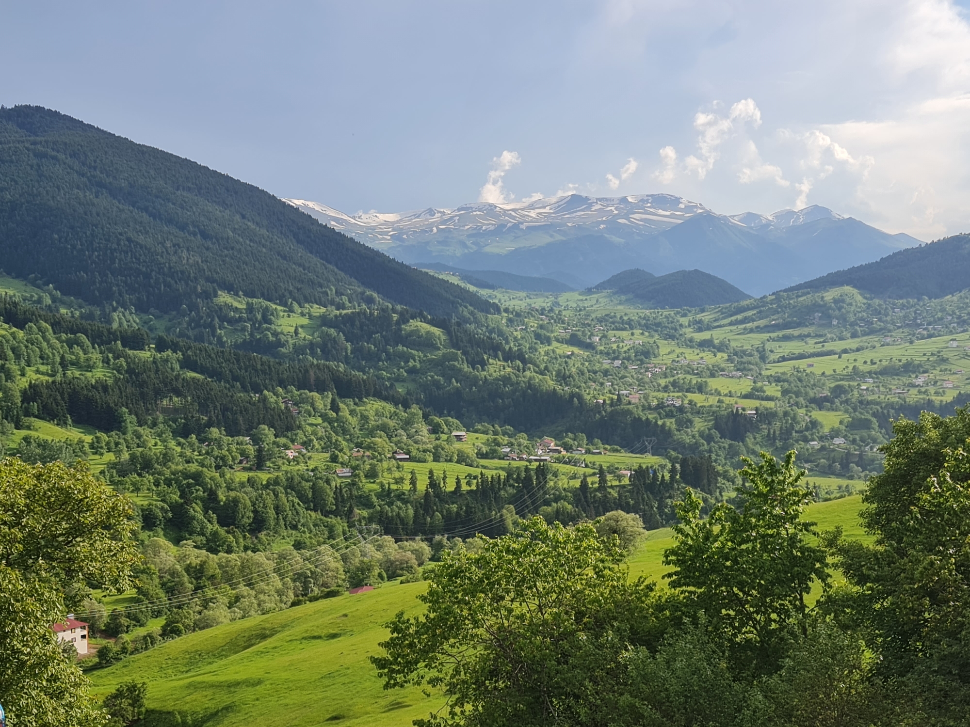 This is a scenic landscape photograph captured in Şavşat, Turkey. The scene depicts a verdant valley nestled between rolling hills and majestic mountains. In the foreground, lush green meadows dominate, with a few scattered trees and a building visible on the left slope.
The midground is a tapestry of dense green forests covering the hillsides, interspersed with small clusters of houses, suggesting a rural village or scattered settlements. The trees are vibrant and full, indicating it's likely spring or summer.
In the background, a range of mountains rises, their peaks still capped with snow, starkly contrasting with the green landscape below. The sky is a clear blue with scattered white clouds, suggesting fair weather. The lighting indicates it's likely daytime, perhaps late morning or early afternoon, given the bright sunlight illuminating the scene.
The overall impression is one of natural beauty, tranquility, and a peaceful rural existence. There is no visible text in the image.