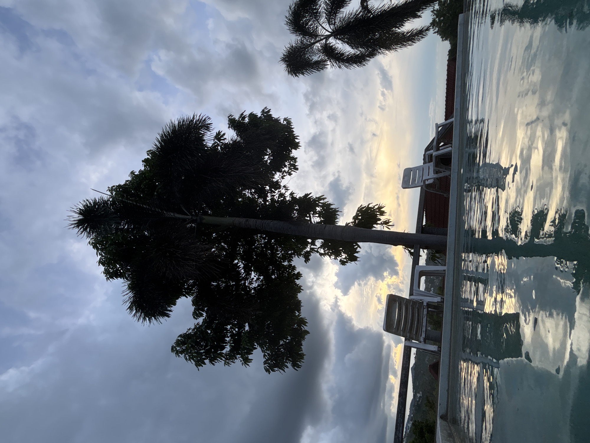 The image captures an outdoor swimming pool scene in บ้านบางรักษ์, Thailand, rendered from a low perspective at the water's surface, facing a cloudy horizon during either sunrise or sunset. The foreground features the light blue-green water of a swimming pool, its rippled surface reflecting the overcast sky and silhouetted elements. A concrete pool edge is visible, behind which a dark wooden railing stretches horizontally. Two white plastic reclining chairs are positioned on a deck behind the railing; one chair is prominently centered, facing away from the viewer and angled slightly right, with a second partially visible behind it. A tall, dark-silhouetted palm tree stands centrally, spanning from the lower half to the upper third of the frame. To its left, another large tree with dense foliage is also silhouetted. A portion of a third palm tree is visible on the far right edge. The sky above is predominantly covered by grey and white cumulus clouds, with a distinct band of warm yellow, orange, and light blue light along the horizon, indicating the position of the sun. Distant, dark hilly terrain is faintly discernible beyond the railing and trees. No people or active subjects are present within the frame.