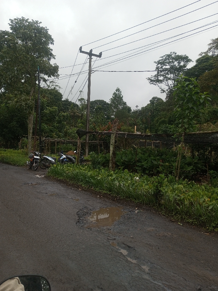 A rural road with visible potholes and a puddle is surrounded by lush greenery and a fence. Three motorcycles are parked near the fence. Overhead power lines stretch across the sky, connected to a utility pole. The weather appears overcast, contributing to a muted color palette of greens, grays, and browns. The scene suggests a remote, possibly agricultural, area.