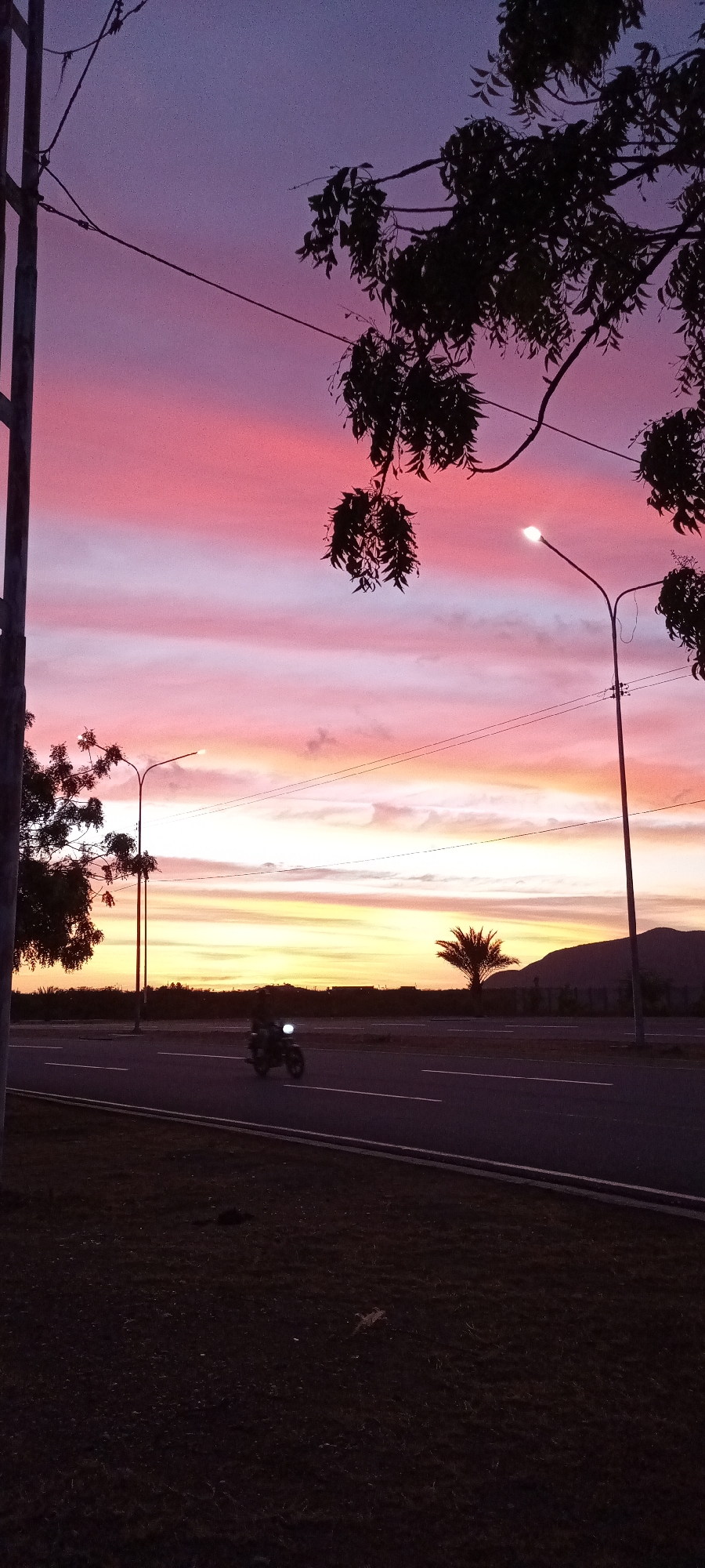 The image captures a scene at dusk in an urban area, possibly a suburb of a city. A two-lane road runs horizontally across the frame, and a single motorcycle with its headlight on is moving along the road. On the far side of the road, there is a palm tree and a low mountain range in the distance. Streetlights line the road. The sky above is a gradient of colors, with pink and purple at the top transitioning to orange and yellow near the horizon. The foreground shows an area of grass. On the left side of the image, there is a utility pole. Branches from trees frame the upper right of the image.