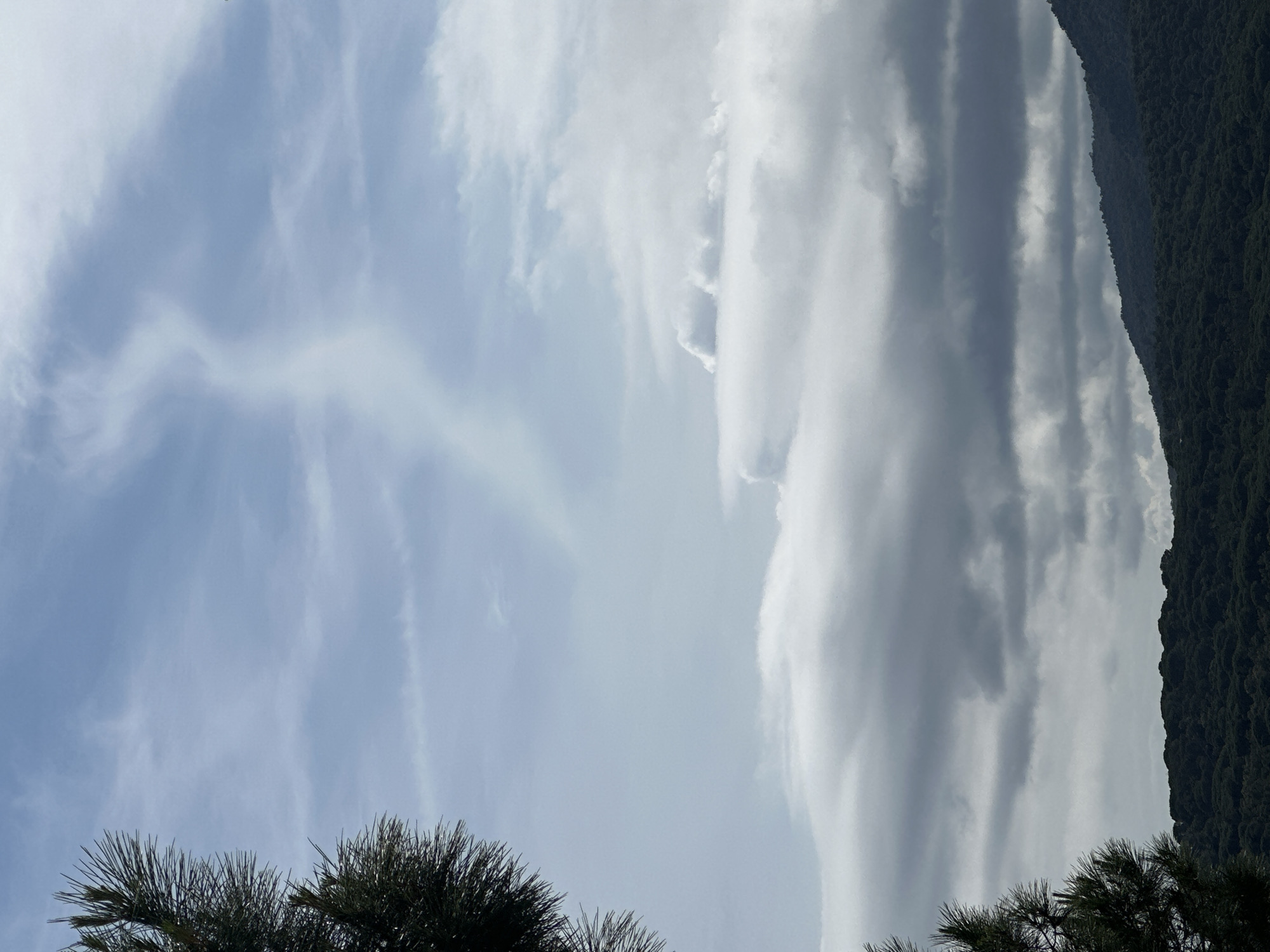 The image shows a view of the sky with clouds, trees in the foreground, and a mountain ridge covered in trees on the right side. The location is likely Sant Feliu de Guíxols, Spain, based on the image context. The sky is light blue with streaks and patches of white and gray clouds. The trees in the foreground are dark green and appear to be pine trees. The mountain ridge on the right is dark green and covered in dense vegetation. The image is oriented vertically.