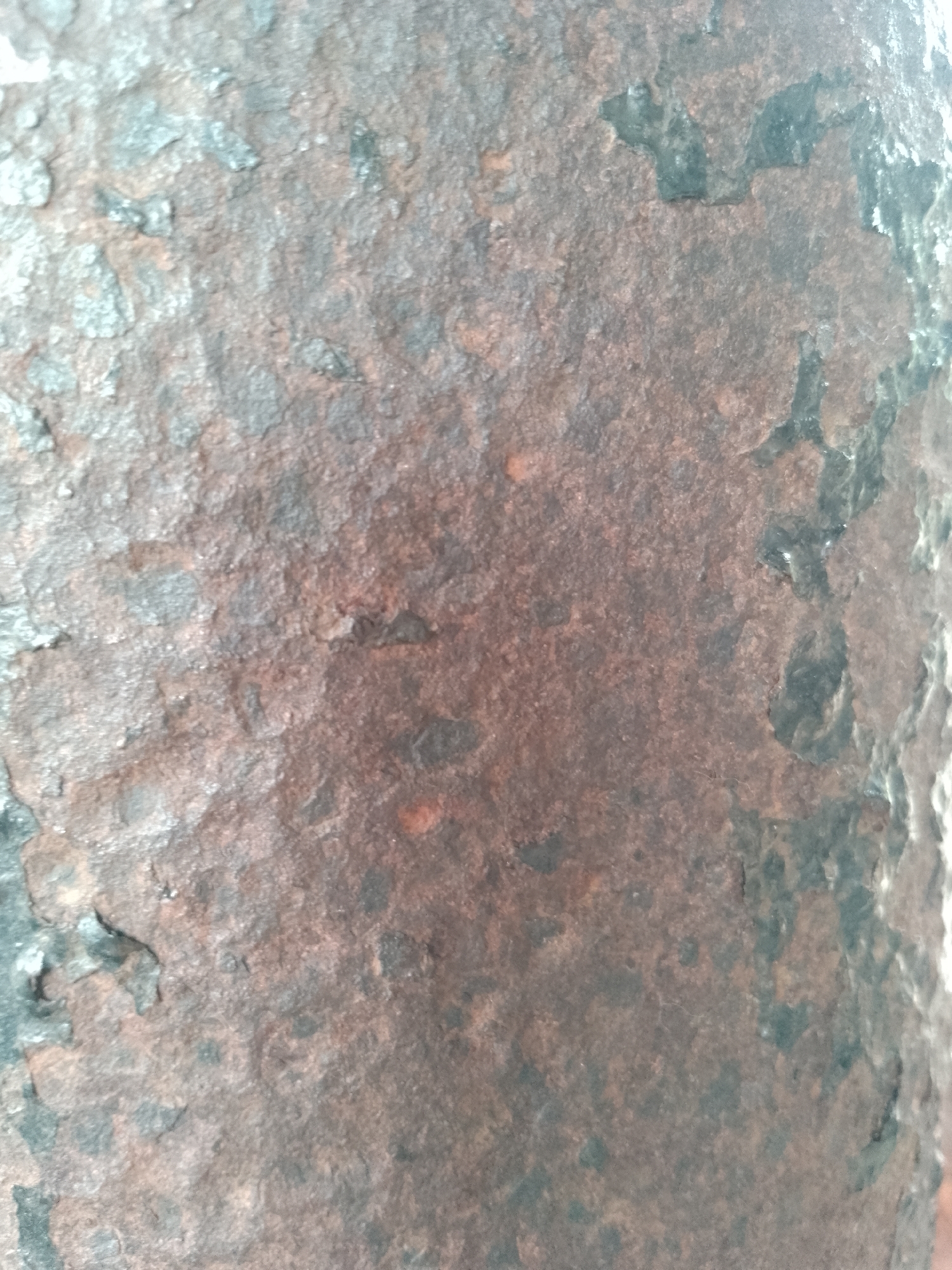 The image is a close-up, textured shot of rusted metal. The surface is rough, with patches of dark, flaky rust and lighter, oxidized areas. There are also some darker, almost black areas that suggest deeper corrosion or perhaps remnants of a coating. The overall color palette is dominated by earthy browns, grays, and blacks. The lighting appears somewhat diffused, highlighting the uneven surface of the metal. This image does not depict Kauman, Indonesia or any urban environment.