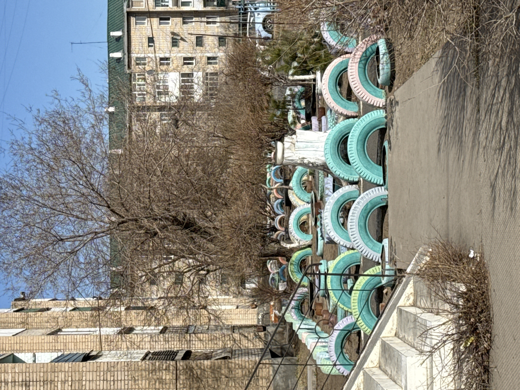 This image captures an outdoor urban scene in Borzya, Russia, characterized by apartment buildings, bare trees, and a decorative fence. The scene is devoid of people.
In the background, a multi-story apartment building with a light-colored brick facade and a dark green sloped roof stands prominently under a clear blue sky. Another, shorter brick building is partially visible on the far left. Several deciduous trees with intricate bare branches, suggesting late autumn, winter, or early spring, are scattered across the midground, partially obscuring the buildings.
The foreground is dominated by a long, low metal fence adorned with numerous painted car tires. These tires are colored in various pastel shades, including light blue, light green, and pinkish-white, arranged along the top and bottom rails of the fence, likely serving as a colorful border or planter. A concrete or paved walkway runs parallel to this fence. To the far right in the foreground, a set of concrete steps ascends, next to which a cluster of dry, thorny bushes or weeds grows.
The lighting indicates bright daylight, with soft shadows visible. The overall atmosphere is quiet and still, with no activity taking hand. No text is visible in the image. The architectural style of the buildings and the use of painted tires for decoration are characteristic of residential areas in many post-Soviet cities.