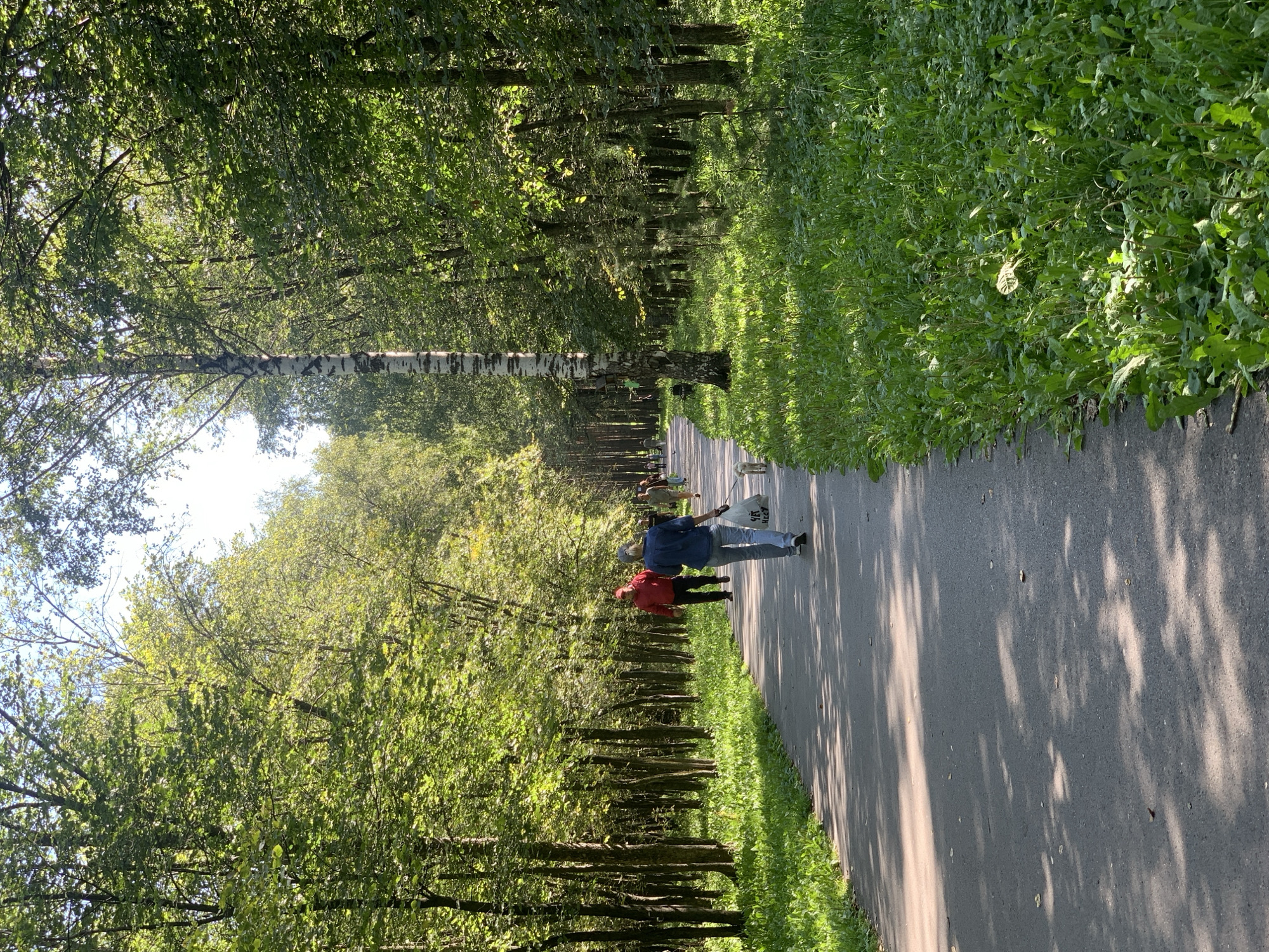 The image depicts a paved pathway in a park, lined with tall trees on both sides. The path curves slightly and recedes into the distance, with dappled sunlight filtering through the leaves, creating shadows on the ground. Lush green grass grows along the edges of the pathway.
Several people are seen walking along the path. In the foreground, a person wearing a denim jacket and jeans walks away from the camera, carrying a white plastic bag and walking a small white dog on a leash. Further down the path, another person in a red jacket is walking towards the camera. Additional figures are visible in the background, also walking along the path. A birch tree with distinctive white bark stands prominently on the right side of the path.
The scene appears to be a typical summer day in a well-maintained park. The presence of the paved path, the mature trees, and the people engaged in leisurely walking suggest an urban or suburban park environment. Without specific landmarks, it is impossible to definitively identify the location as Prokopyevsk, Russia, though the setting is consistent with a park that could be found in such a city.