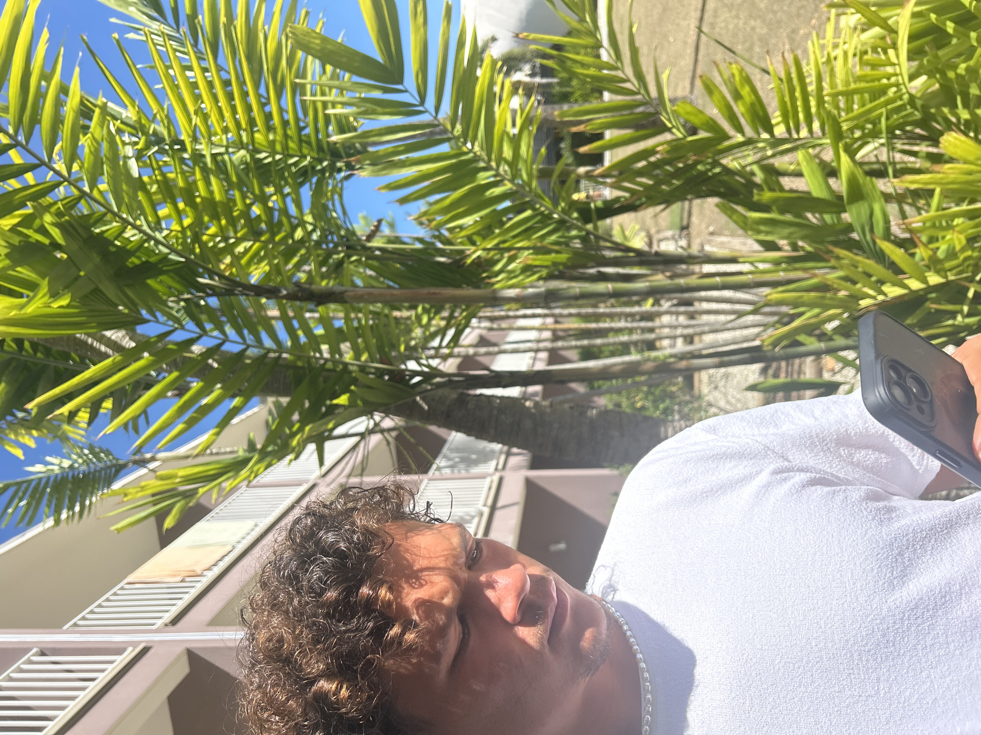 In Sainte-Anne, France, a male subject with short, curly brown hair and a tanned complexion is depicted outdoors. He wears a white textured t-shirt and a white beaded necklace. His gaze is directed downwards at a dark-colored smartphone, equipped with a triple-lens camera, which he holds with both hands. Strong overhead sunlight creates prominent shadows across his face. The background features lush green palm fronds and bamboo stalks, bordering a multi-story building. This structure has light brown facades and white balconies with vertical railings. A light-colored piece of fabric is draped over one balcony railing. The sky above is clear blue.