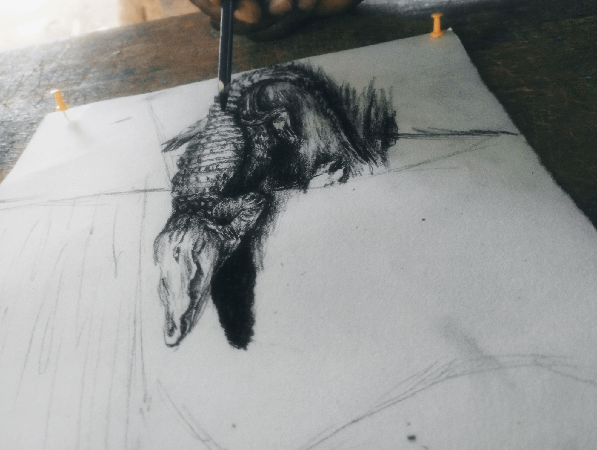 This is a close-up, medium shot of an artist's hands drawing on a white sheet of paper. The drawing, rendered in charcoal or a similar dark medium, depicts a creature that appears to be an armadillo. The drawing is in progress, with detailed shading and texture already established on the animal's head and armored body, while other parts of the composition are only loosely sketched. The paper is held in place by two yellow thumbtacks. The artist's hand, with dark skin, is visible at the top of the frame, holding a drawing utensil, likely a pencil or charcoal stick, poised over the paper. The background is out of focus and appears to be a wooden surface, possibly a table or easel. The lighting suggests an indoor setting, with a soft, diffused light source. There is no visible text in the image. The overall impression is one of focused artistic creation.