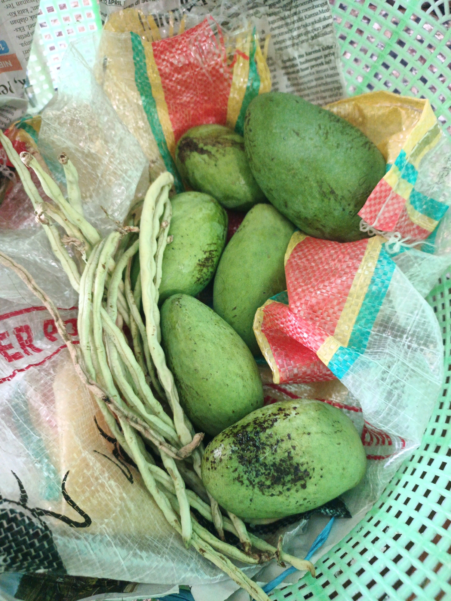 A basket containing mangoes and long beans is pictured. The basket is made of green plastic with a woven pattern. Inside the basket, there are several green mangoes, some with dark spots, and a bunch of long, thin green beans. The fruits and vegetables are partially covered by colorful plastic packaging, red, yellow, and teal in color. Part of a newspaper is visible in the background, with some text in Indonesian. The image appears to be a close-up shot taken from above, with the focus on the produce and the basket. The setting is likely an outdoor market or a home in Ketegan, Indonesia, given the context. There are no people visible in the image, and no actions or interactions are taking place.