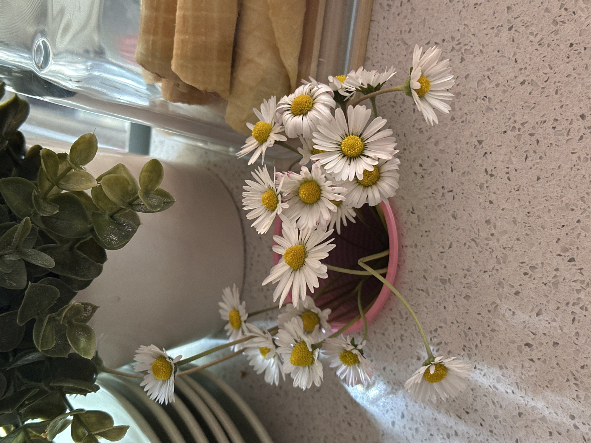 A high-angle close-up shot captures a pink vase filled with a bouquet of daisies, placed on a speckled white countertop. To the left, green foliage of a plant is visible, partially obscuring a stack of plates. The background includes a translucent container and a folded light brown cloth. The scene appears to be indoors, likely in a domestic kitchen setting. There is no indication of the location being in Novi Sad, Serbia.