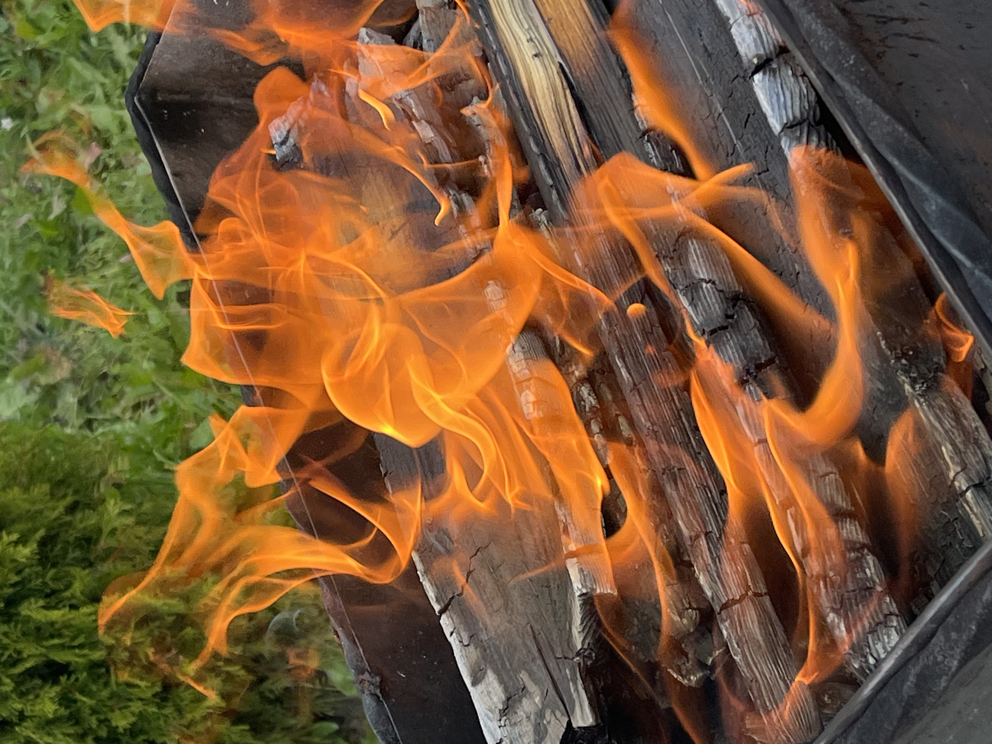 The image depicts an outdoor scene with a close-up view of a barbecue grill filled with burning logs. Bright orange flames are actively consuming the weathered wooden fuel. In the background, lush green foliage, possibly a bush or tree, is visible, suggesting a natural or garden setting. The overall impression is one of a rustic, warm, and active outdoor fire. There is no specific indication of the city of Il'ino, Russia in the image itself, nor are there any people or interactions depicted.