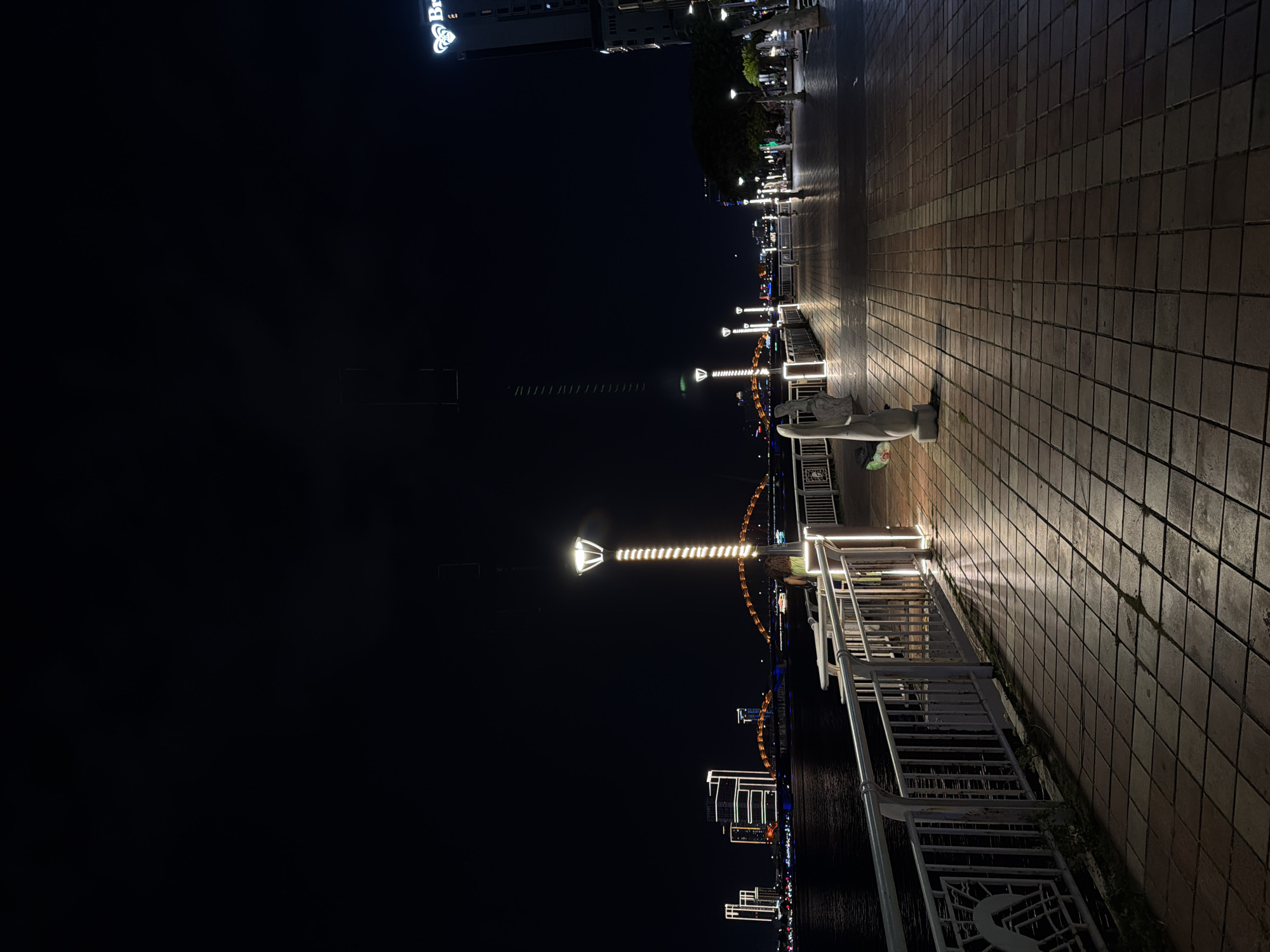The image depicts a nighttime scene along a waterfront promenade in Da Nang, Vietnam. The promenade is paved with square tiles and illuminated by streetlights and decorative lights. A white metal railing runs along the edge of the promenade, separating it from the dark water.
Several objects are visible, including streetlights, benches, and a statue of what appears to be a person or an animal. In the background, there are buildings with illuminated windows and signage, suggesting an urban setting. A Ferris wheel is also visible, adorned with colorful lights, indicating a recreational area.
The scene is set at night, with the sky being dark and the only light sources being artificial. The weather appears to be clear, as there are no visible signs of rain or fog. The overall mood is calm and serene, with the lights reflecting on the water and the tiled promenade creating a visually appealing ambiance.
There is text visible on a building in the upper right corner of the image, which appears to be a logo.