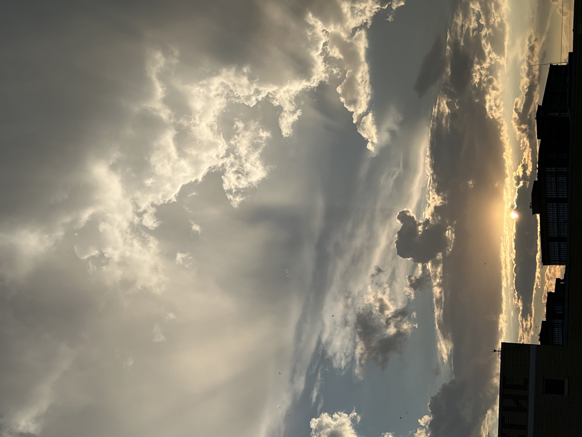 This vertical orientation, outdoor, medium shot captures a dramatic sky scene in Krasnodar, Russia, likely during the late afternoon or early evening due to the low angle of the sun. The primary subjects are the clouds, which are varied in form and color, with some appearing bright and illuminated by the sun, while others are dark and ominous, suggesting a mix of clear and stormy weather. The sun itself is partially visible, peeking through a band of clouds on the right side of the frame, casting a warm, golden light across the sky.
In the foreground, silhouetted against the sky, are the dark shapes of buildings, including what appears to be an apartment building with multiple windows and a smaller brick building. The presence of these structures provides a sense of urban setting. Several small, dark shapes in the sky are visible, which are likely birds, adding a subtle element of life to the scene.
The overall mood of the image is one of awe and perhaps a touch of drama, evoked by the interplay of light and shadow in the clouds and the imposing presence of the buildings. The strong contrast between the illuminated and shadowed parts of the sky creates a dynamic visual effect. No visible text is present in the image.