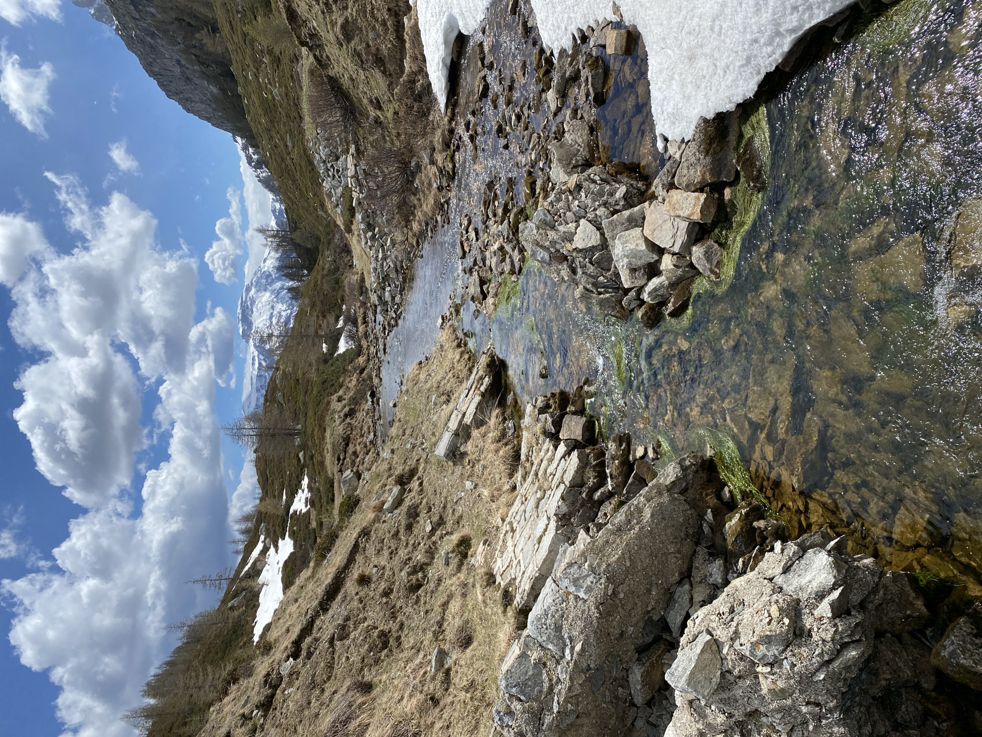 The image depicts a stream flowing down a hillside in Baceno, Italy. The water is clear and shallow, revealing rocks and some green algae underneath. Patches of snow are present along the stream's edge. The surrounding landscape features dry grass and rocks. In the background, mountains and a cloudy sky are visible.