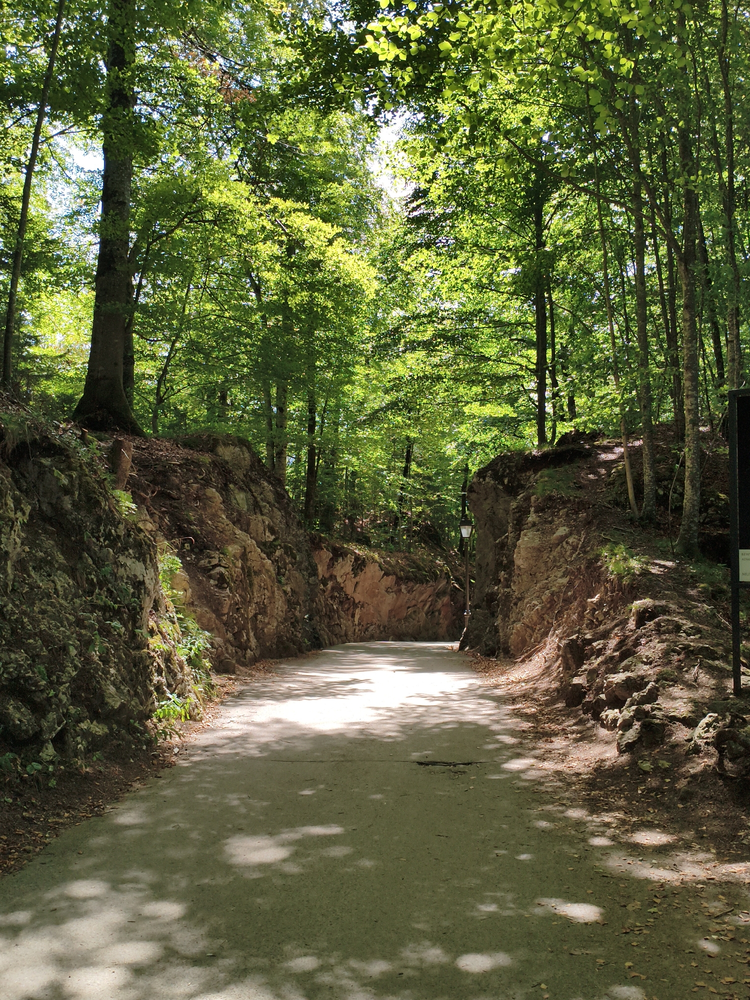A paved pathway, likely a road or walking trail, cuts through a narrow, rocky gorge with steep, overgrown sides. Tall, leafy trees line the top of the gorge, casting dappled sunlight and shadows onto the path. The trees have rough, textured bark and their leaves are a vibrant green, indicating a summer season. The rock formations appear weathered and are covered in moss and smaller vegetation in some areas. A single, old-fashioned lamppost stands on the right side of the path, near the crest of the gorge. The overall scene suggests a natural, somewhat rugged environment within a wooded area. This pathway is located in the grounds of Neuschwanstein Castle in Schwangau, Germany. There are no people or animals visible in the image.