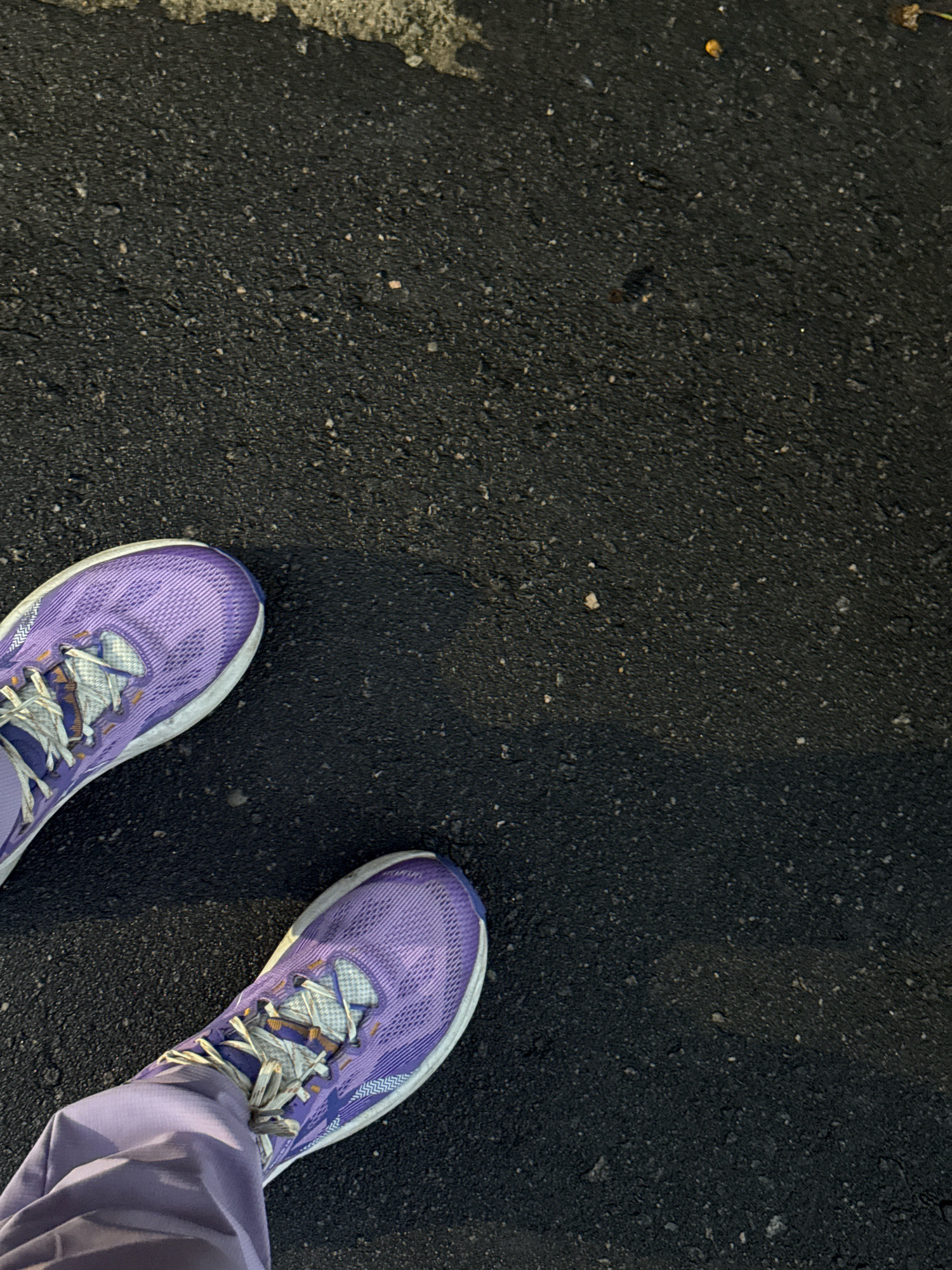 Two purple athletic shoes with grey laces are positioned on a dark asphalt surface. The shoes are angled towards the bottom left of the frame, with the wearer's legs, clad in purple pants, extending out of the bottom left corner of the image. The asphalt appears to be a road or sidewalk, with small stones and debris scattered across its surface. A shadow is cast from the shoes onto the asphalt, suggesting an overhead light source. The scene does not provide any visual indicators of the city of Nilópolis, Brazil.