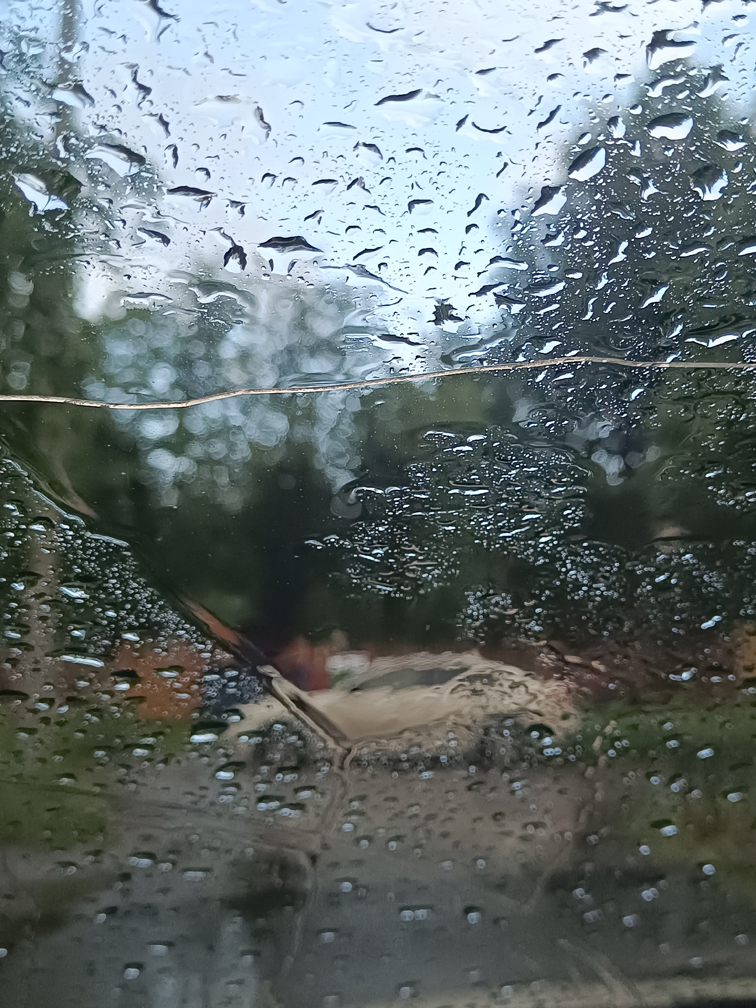 The image depicts a view through a window covered in raindrops. The scene outside is blurred and distorted by the water droplets, creating an impressionistic effect. In the background, faint outlines of trees and possibly buildings can be discerned, suggesting an outdoor setting. The sky appears overcast or light-colored, typical of a rainy day. The overall mood is somewhat melancholic, characteristic of dreary weather. The presence of raindrops on the window suggests it is currently raining or has recently rained. The time of day is not explicitly indicated, but the soft, diffused light suggests it could be daytime, possibly late afternoon or early morning. There is no visible text in the image. The location context of Arkhangelsk, Russia, might imply a colder climate, which aligns with the rainy weather depicted. The photo is taken from a close-up perspective, focusing on the texture and patterns created by the raindrops on the glass.