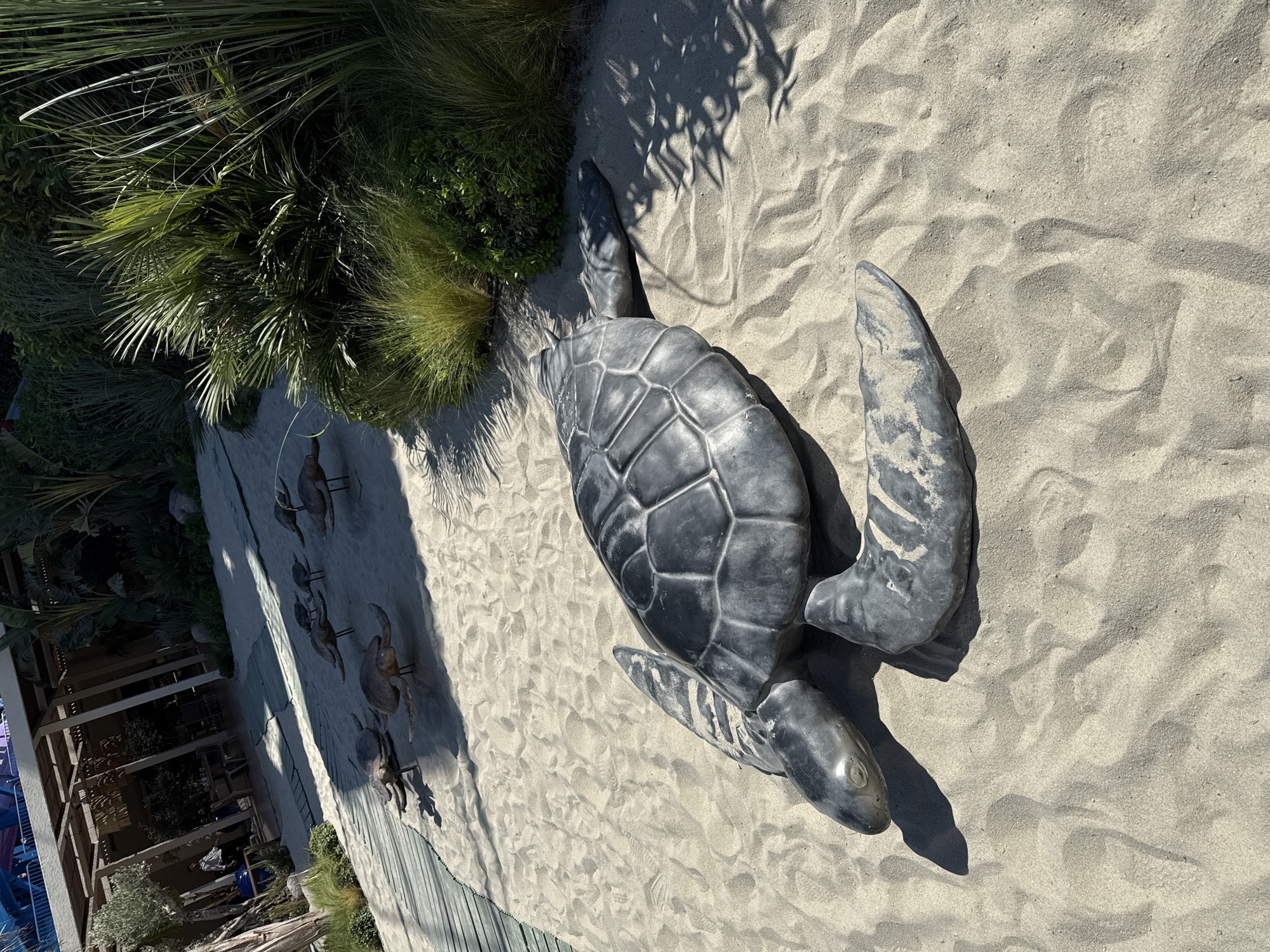The image captures a beachside scene in Bodrum, Turkey, featuring a large, dark gray turtle sculpture positioned in the foreground on a sandy surface. The sculpture is detailed, with visible shell segments and flippers. Behind it, a series of smaller, similar turtle sculptures are scattered across the sand, some appearing to be in motion. To the left, a wooden boardwalk or pathway is visible, bordering a patch of green vegetation. In the background, there's a shaded outdoor seating area with tables and chairs, suggesting a restaurant or cafe. Lush green plants, including palm-like fronds and tall grasses, frame the right side of the scene, with dappled sunlight casting shadows on the sand and sculptures. The overall atmosphere is bright and summery, likely a tourist attraction or a resort setting.