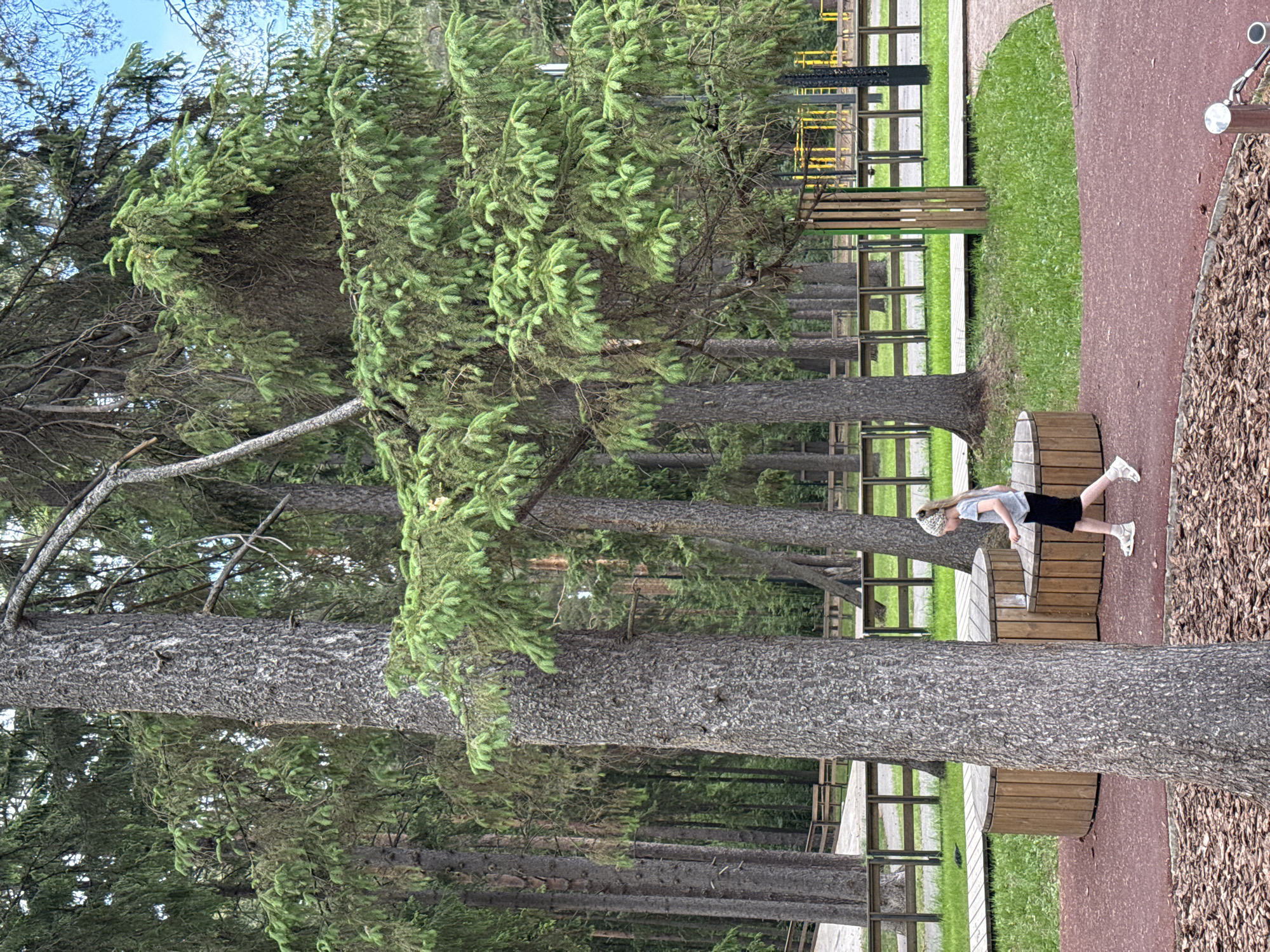 The image shows a person standing on a bench in what appears to be a park in the city of Unknown, Unknown. The park has tall trees, a walking path, and possibly a playground in the background. The individual, who appears to be a child, is wearing a grey shirt, black shorts, and white shoes. They are standing on a wooden bench, which is part of a bench structure near a tree. The ground is covered with bark mulch and there is green grass present. The park looks well-maintained with wooden fences along the path.