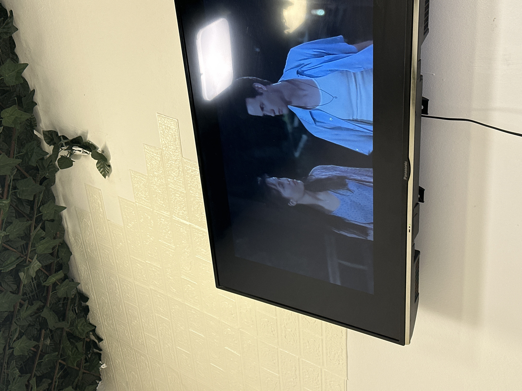 The image depicts an indoor scene in Šušanj, Montenegro, featuring a wall-mounted television. The wall is predominantly light-colored, possibly off-white, and features decorative relief panels with a repeating rectangular or diamond pattern on its upper section. Along the top edge of the wall, just below the ceiling, artificial green ivy vines are arranged, extending downwards in sections.
A black Panasonic flat-screen television is mounted on the wall, angled slightly towards the viewer. The screen displays a scene featuring two individuals. On the left, a female with dark hair, wearing a light-colored patterned top and an open cardigan, looks towards the right. On the right, a male with dark hair, wearing a white tank top, an open light blue short-sleeved shirt, and a silver pendant necklace, looks towards the left. A bright, rectangular light source is visible on the screen above the male's head, and a diffused light is present further to the right in the depicted scene's background, which appears dimly lit. A black cable extends downwards from the bottom edge of the television along the wall.
