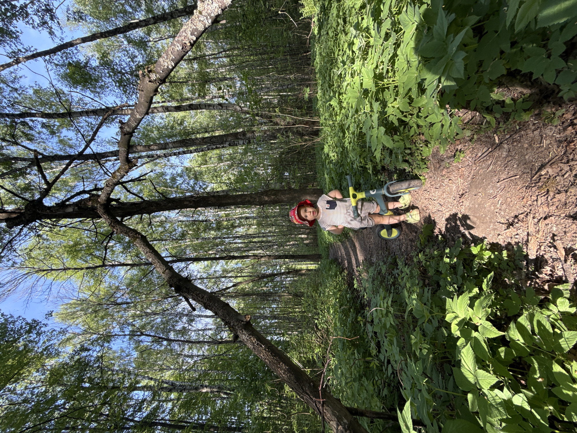 A child wearing a red hat and striped outfit stands next to a green tricycle on a dirt path. The path is surrounded by green vegetation, suggesting a forest or park setting. Tall trees line the path, creating a narrow corridor. The photograph appears to be taken from a low angle. The location is likely in Rusanovo, Russia, based on the prompt.