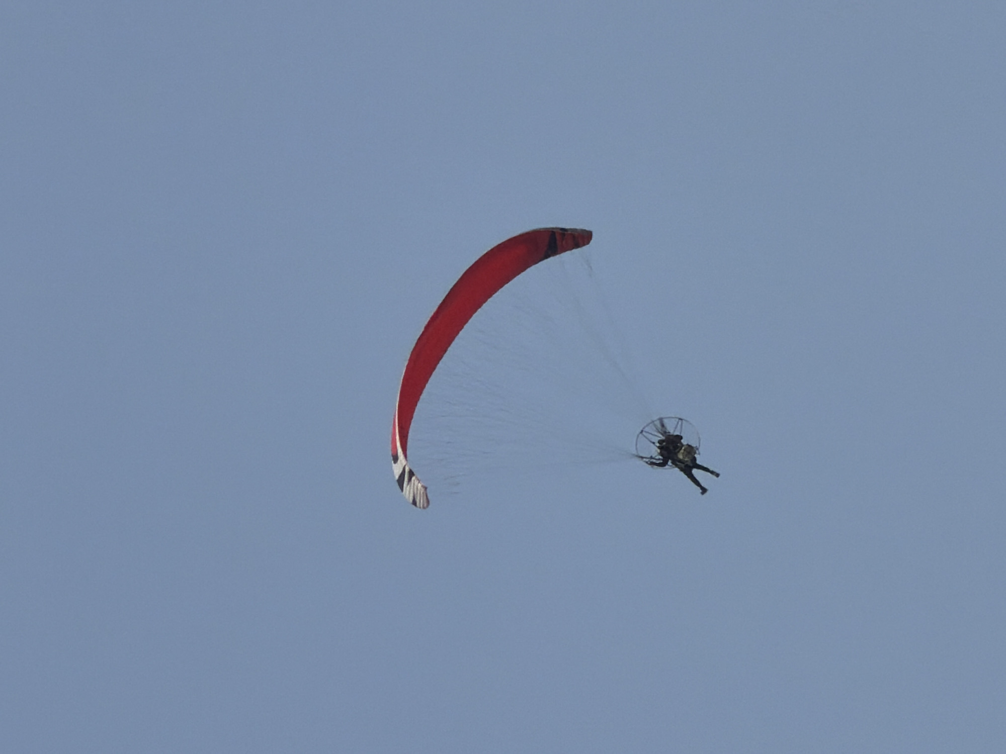 A powered paraglider flies against a plain blue sky. The paraglider wing is predominantly red, with a patterned black and white section at the lower left. Fine suspension lines connect the wing to the paraglider's engine and harness, which contains a pilot.
The exact location in Tel Aviv, Israel, is not evident from the image alone.