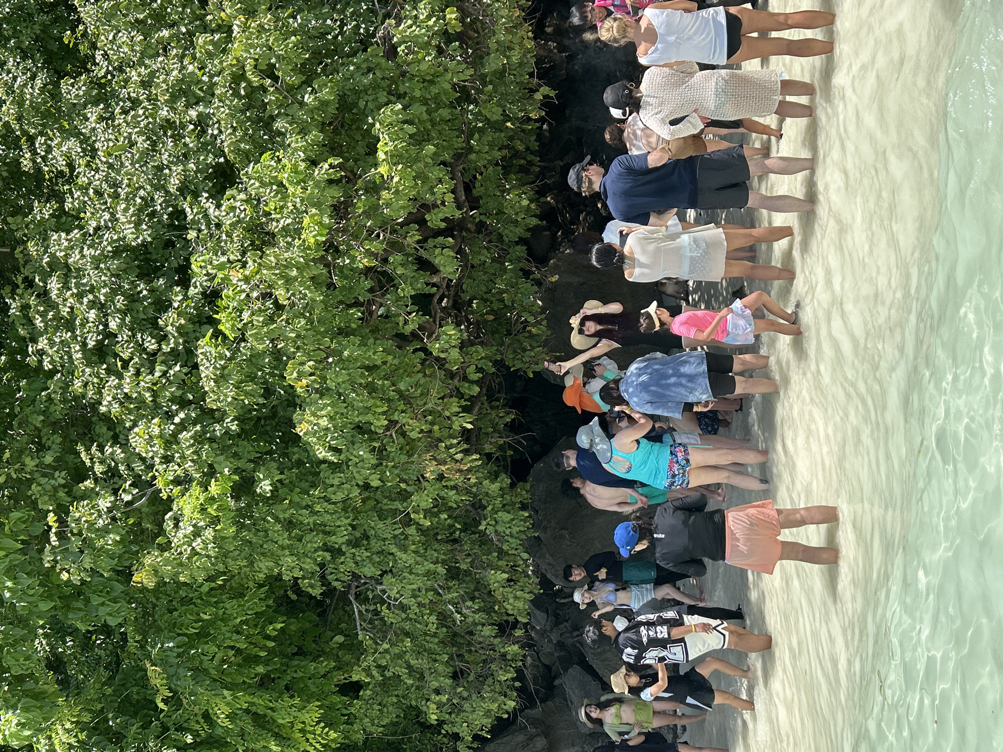 The image shows a group of people standing in shallow, clear water near a rocky shore with lush green trees overhead. The location is identified as Ko, Thailand. The people are dressed in casual beachwear, with some wearing hats and swimwear. They appear to be gathered together, possibly on a tour or excursion. The water is calm and shallow, reflecting the sunlight. The trees provide shade, and the rocks create a natural backdrop. The overall scene suggests a tropical beach environment.