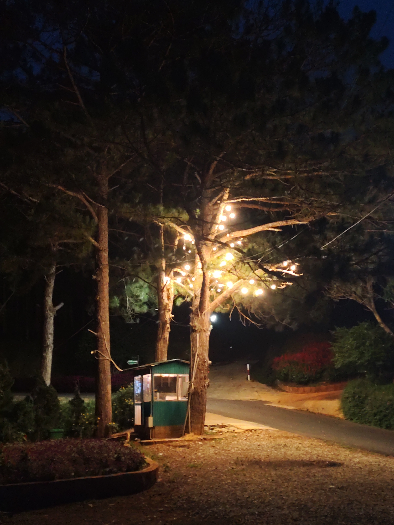At night in Da Lat, Vietnam, a dimly lit outdoor scene reveals a small, green wooden booth adjacent to a tree adorned with string lights. The booth, with a dark brown base, appears to be a guardhouse or information point. The tree illuminated by the lights stands amidst other trees and greenery. A curved flowerbed borders the gravelly ground in the foreground. A paved road curves into the darkness, marked by a white and red striped post. Along the road, there is a patch of red flowers. The overall environment suggests a park or garden setting at dusk or night.
