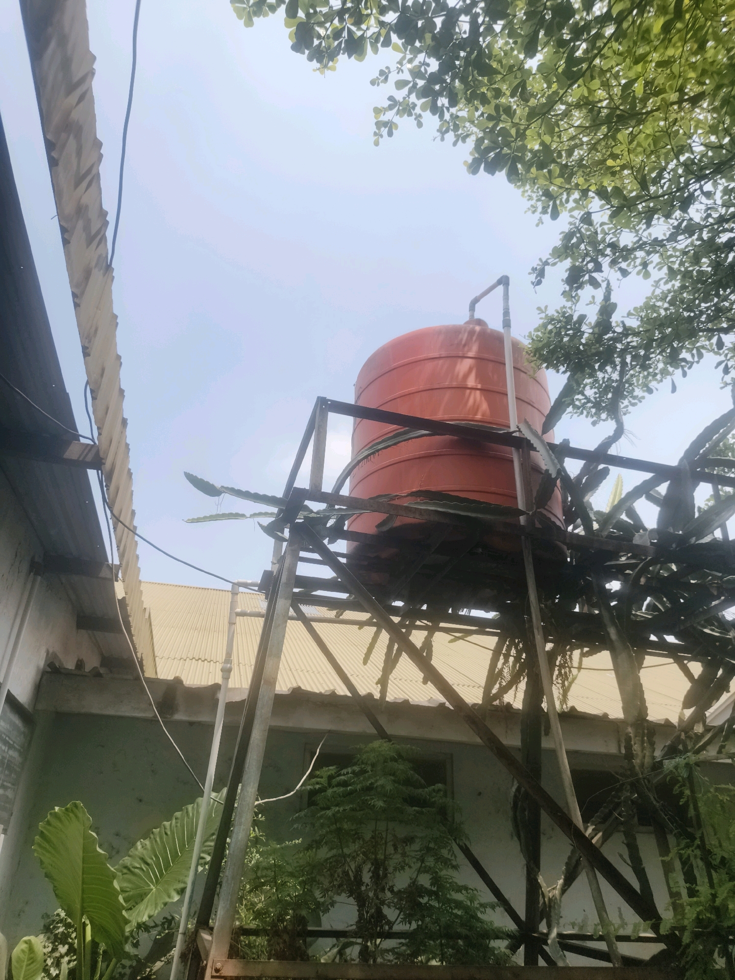 The image shows an orange water tank elevated on a metal structure. The tank has a pipe extending from its top. Surrounding the tank are various plants, including what appears to be dragon fruit plants with their characteristic thorny stems. In the background, a building with a corrugated metal roof is visible, along with parts of another structure that seems to be covered with some sort of material. Lush green foliage from trees can be seen in the upper portion of the image, against a clear sky. The scene suggests an outdoor environment, possibly a backyard or a utility area of a building. No people or specific landmarks that would indicate a precise location in Bandung City, Indonesia are discernible from the image.
